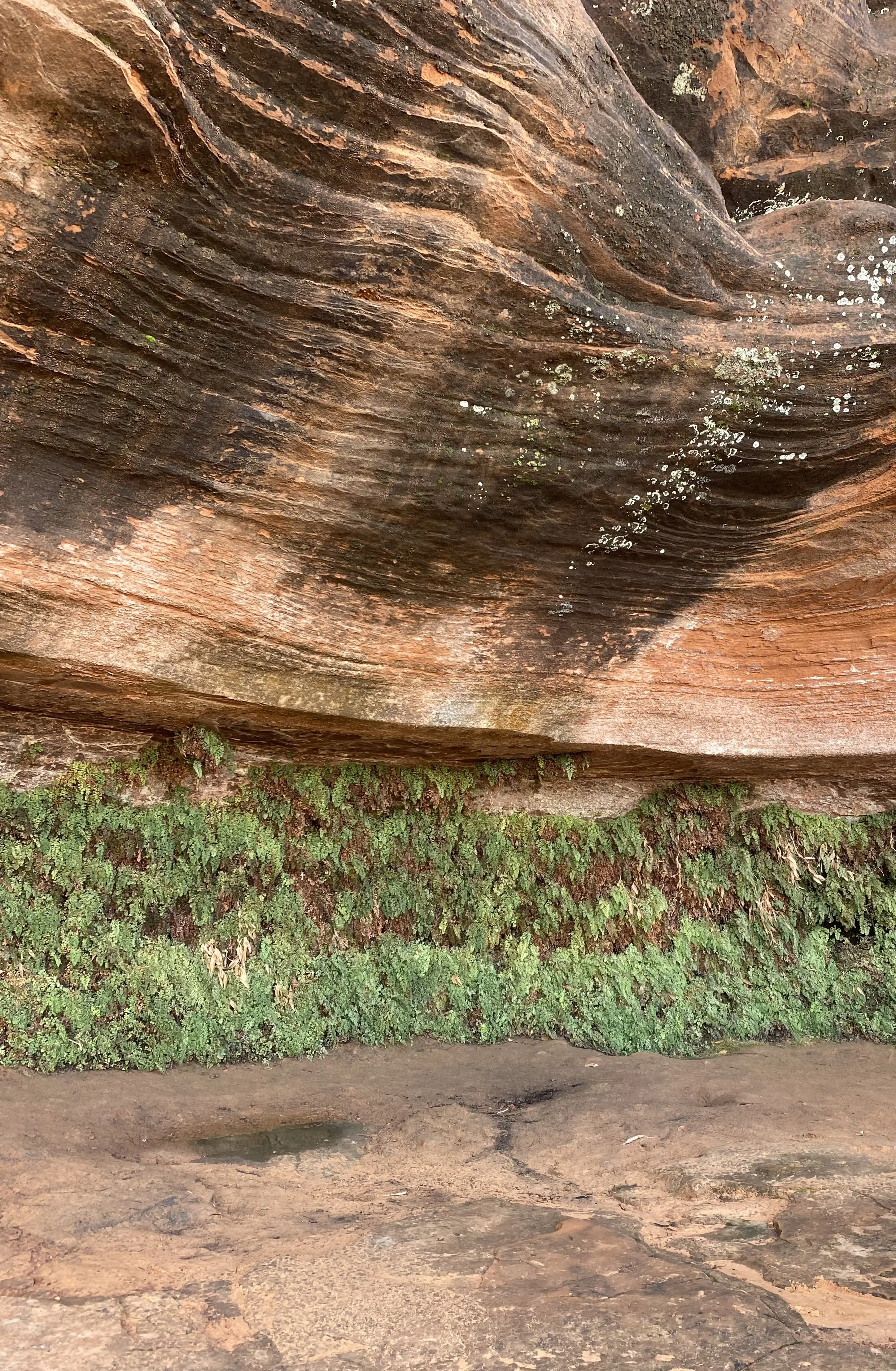 Hanging Garden Trail_IMG_4073.JPG