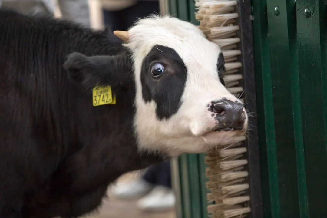 Be prepared or don't bother