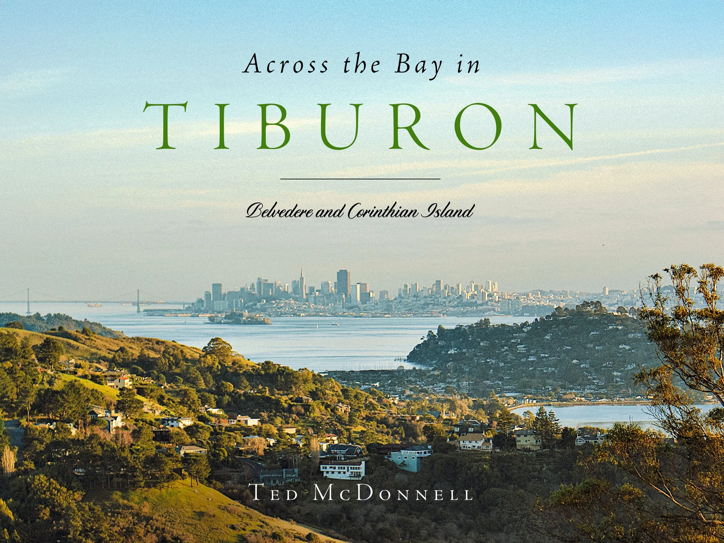 A picturesque view of the San Francisco skyline across the Bay, with hilly green landscapes and residential houses in the foreground, and a bridge visible on the horizon.