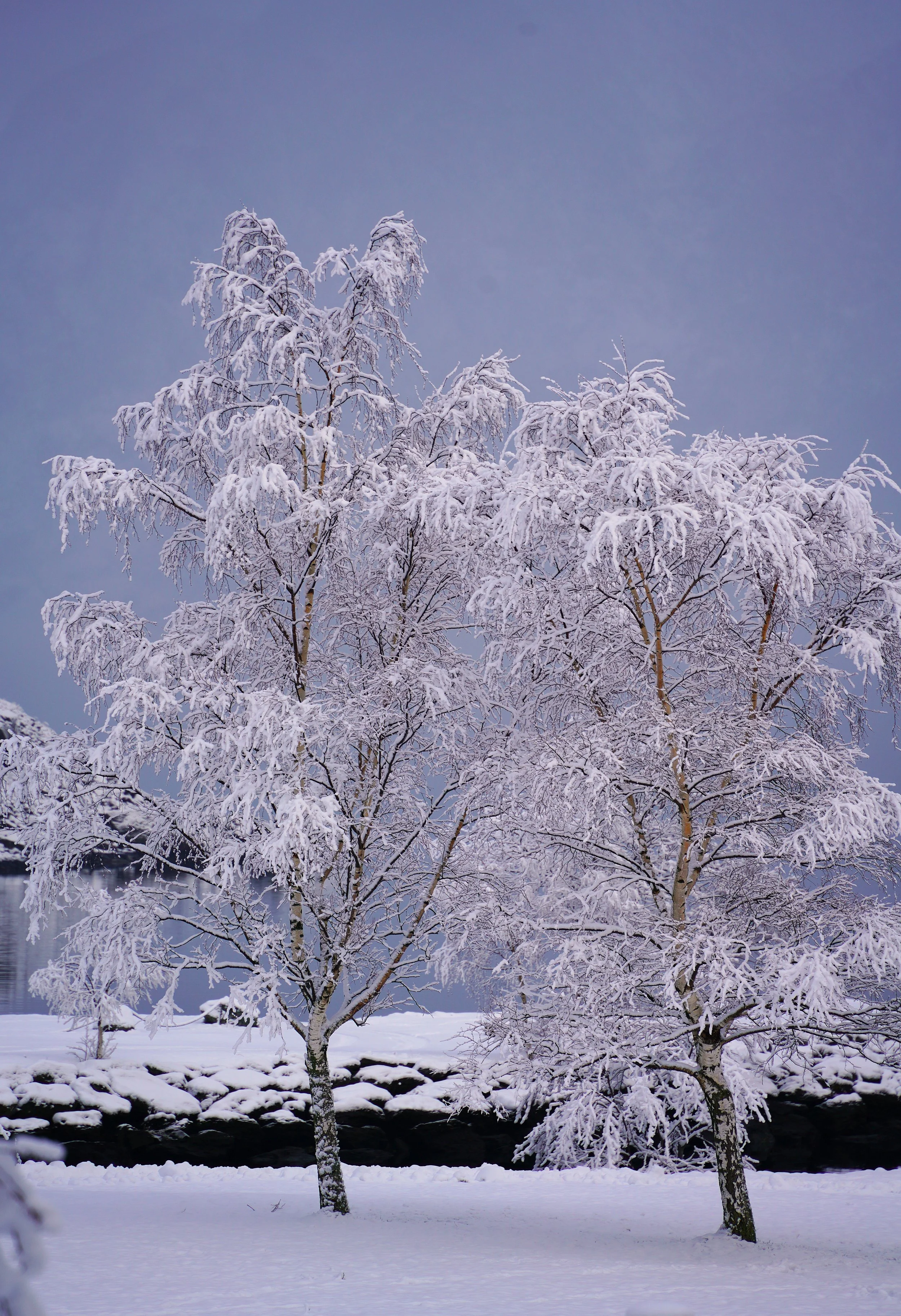 DSC08036.JPG