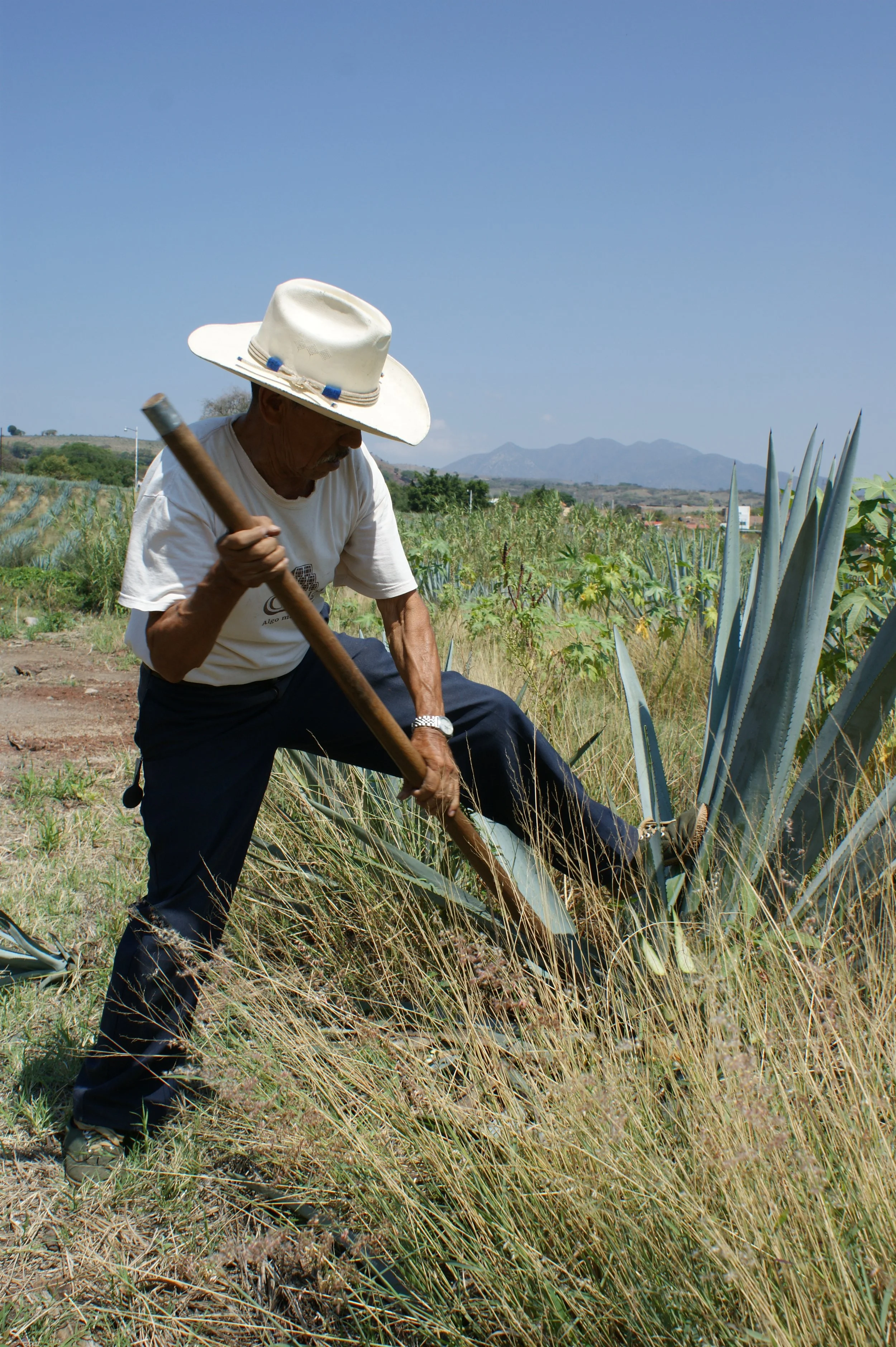 Agave Farmer 2021
Tequila, Mexico
Business Portrait for Tequila Brand