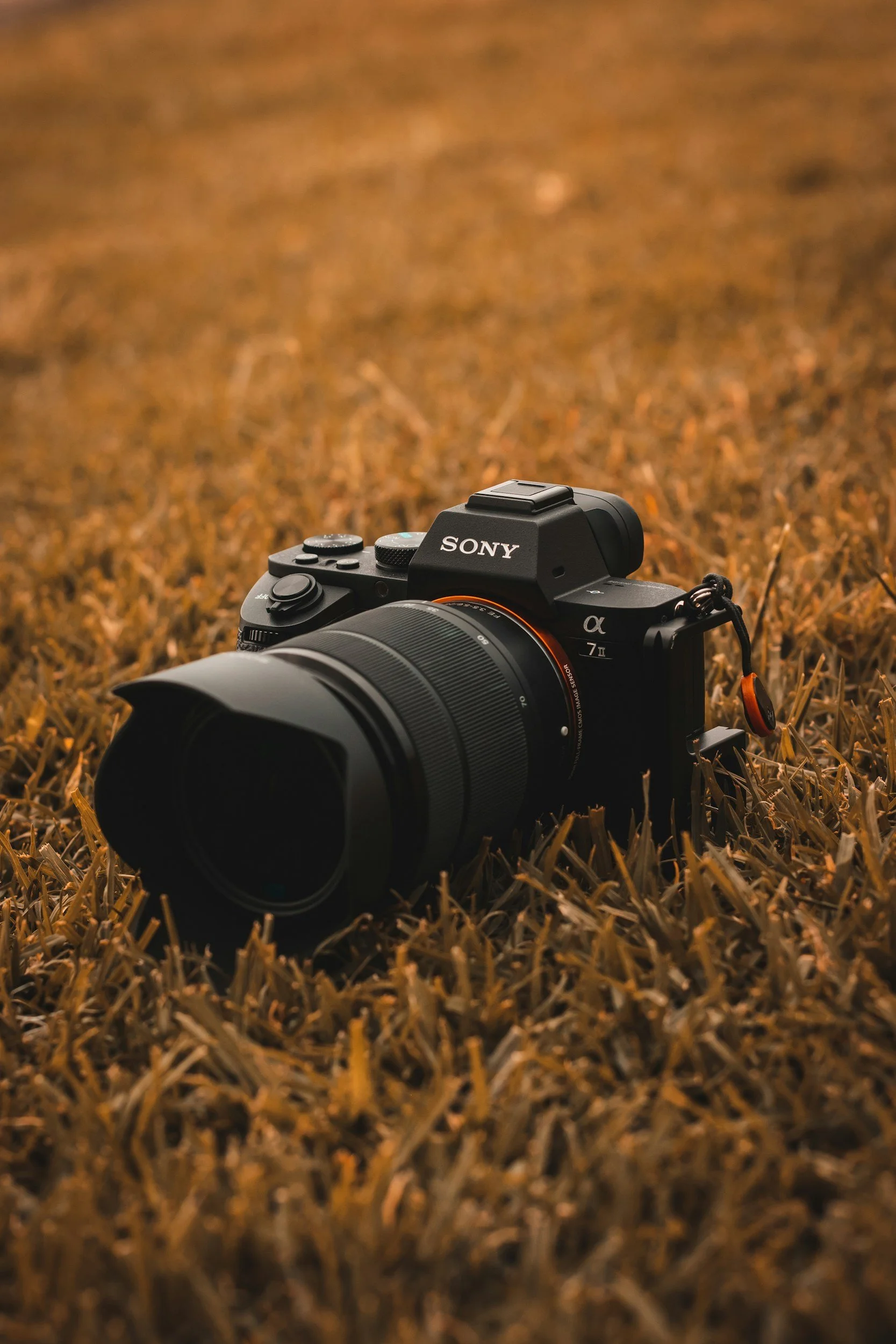 A Sony mirrorless camera with a large lens resting on a bed of autumn leaves or dry grass.