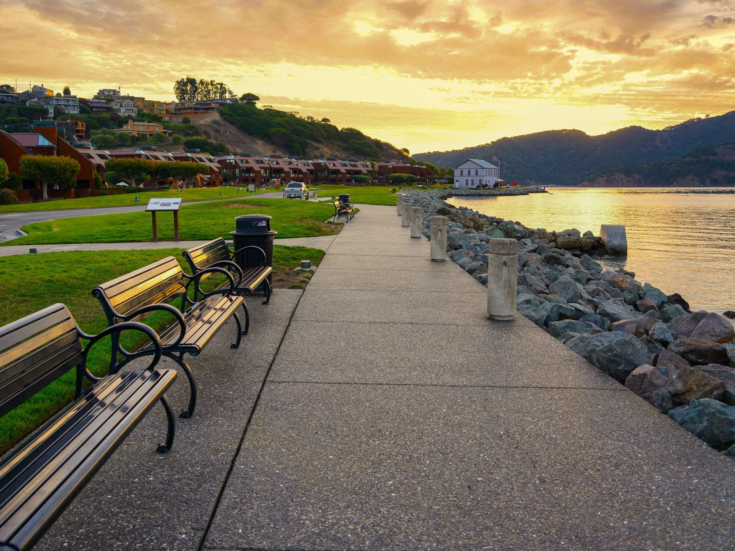 DSC06801 Early Morning Benches on Tiburon Shoreline (1).jpg