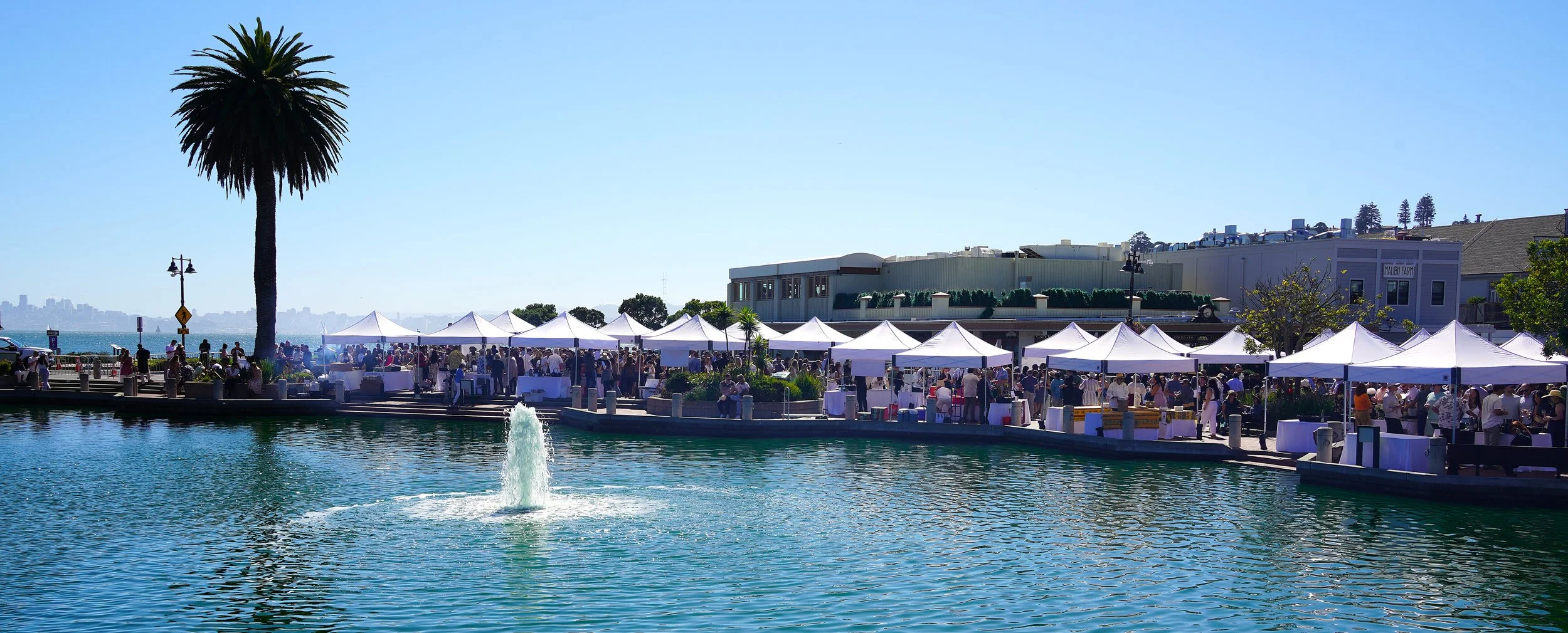 Project Wine Fair
