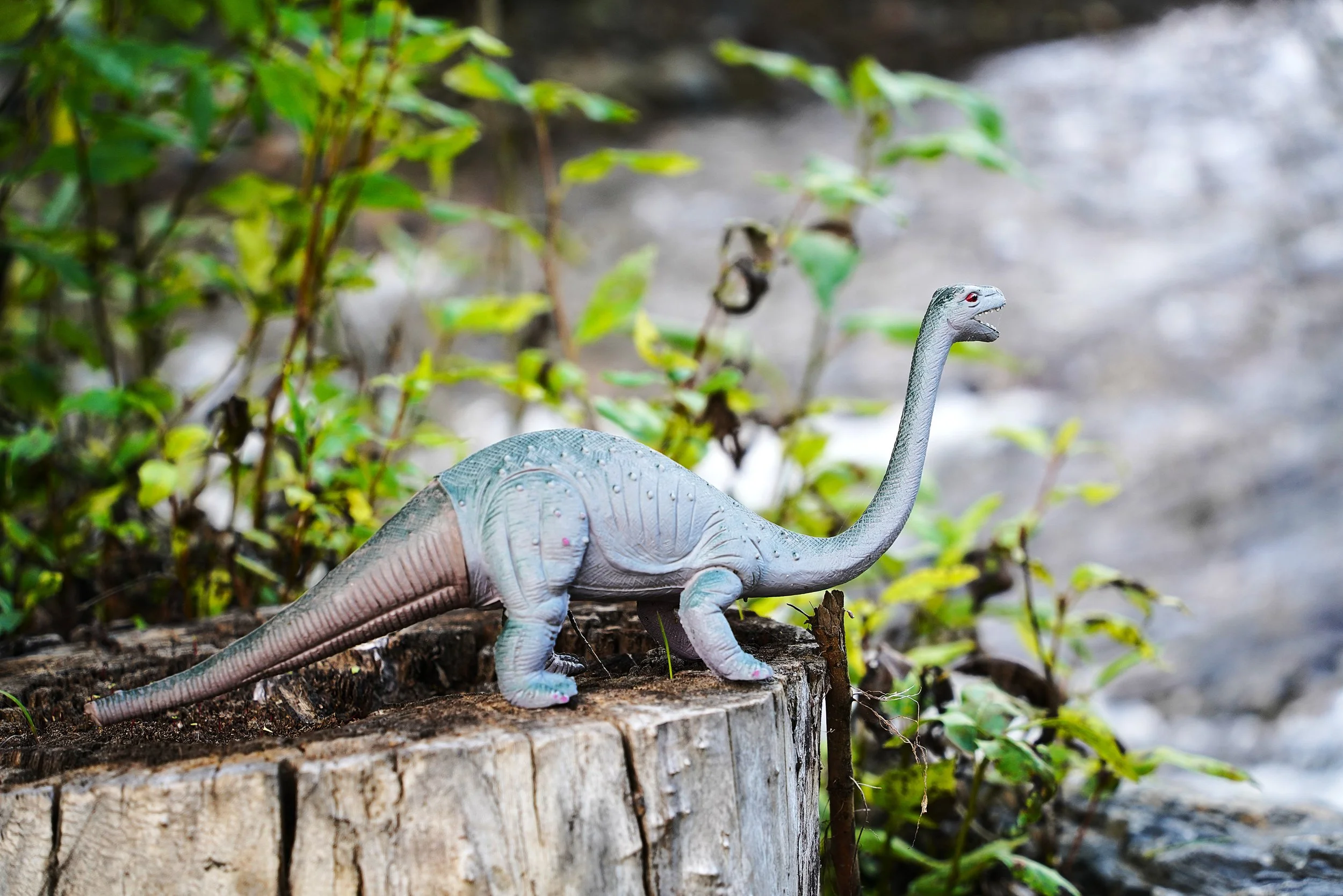 DSC01537 Dino.JPG