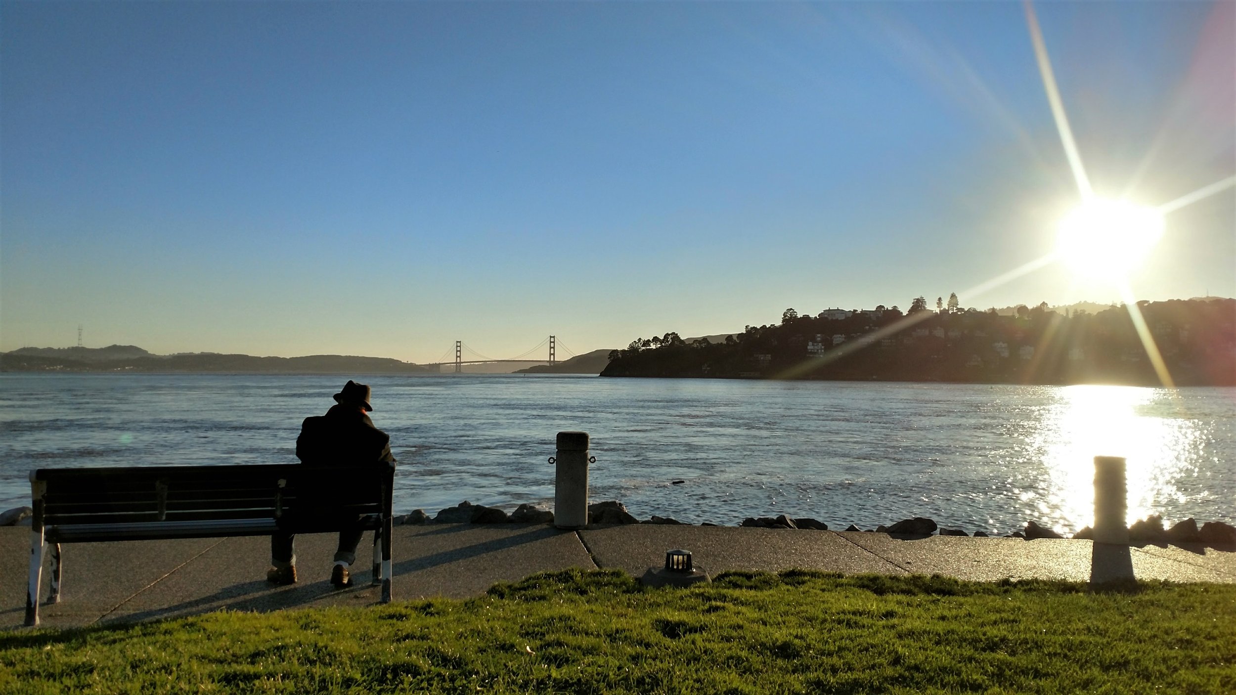 Tiburon's View of GG - 2011