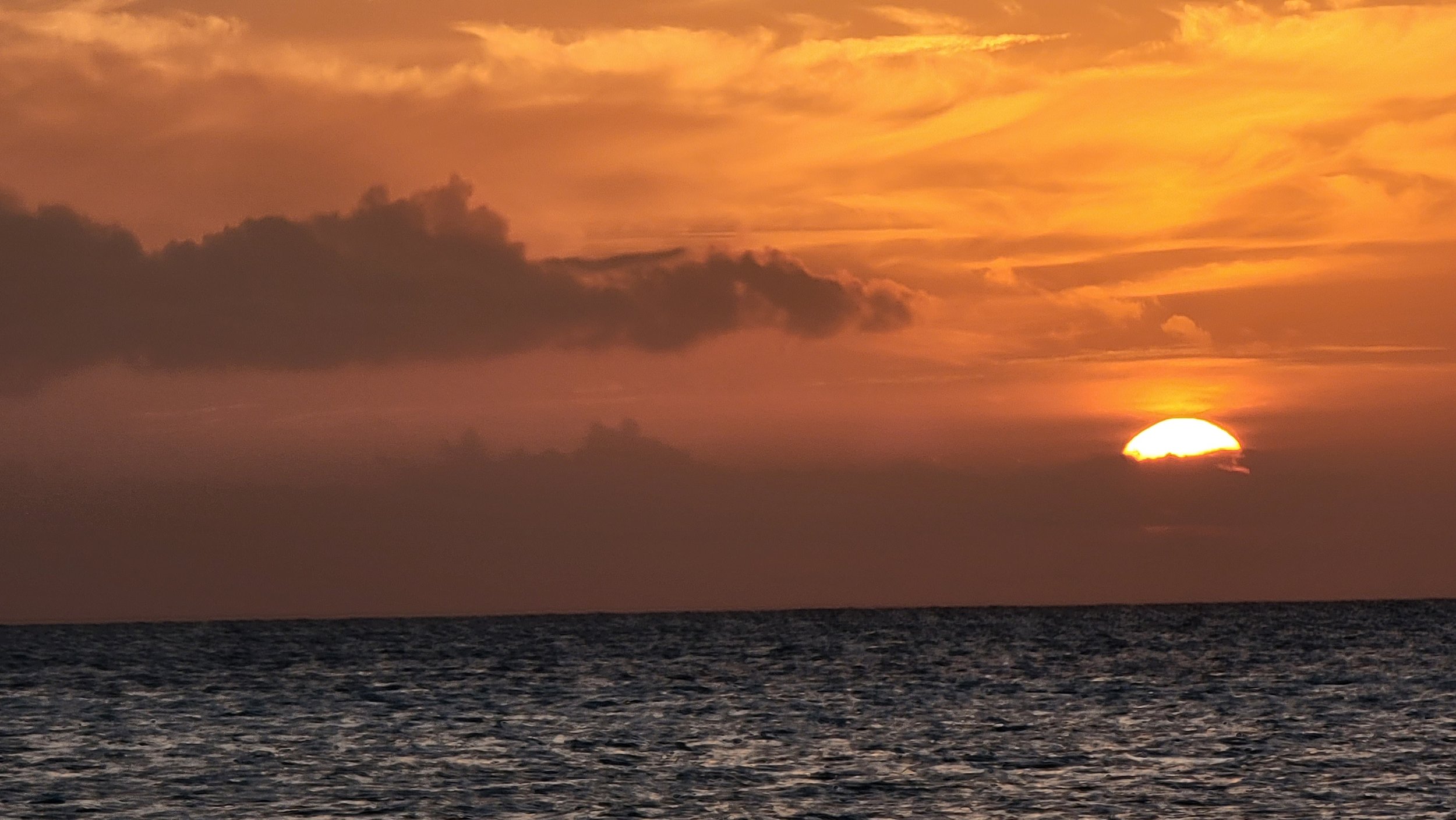 Tuck and Cacao's Sunset