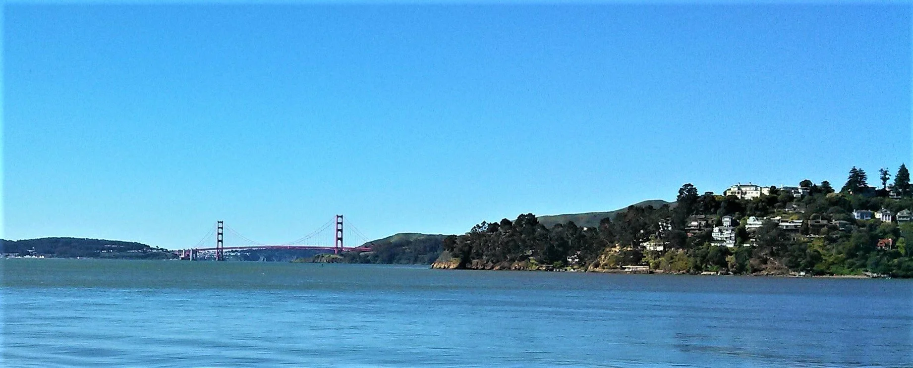 Golden Gate via Tiburon.jpg