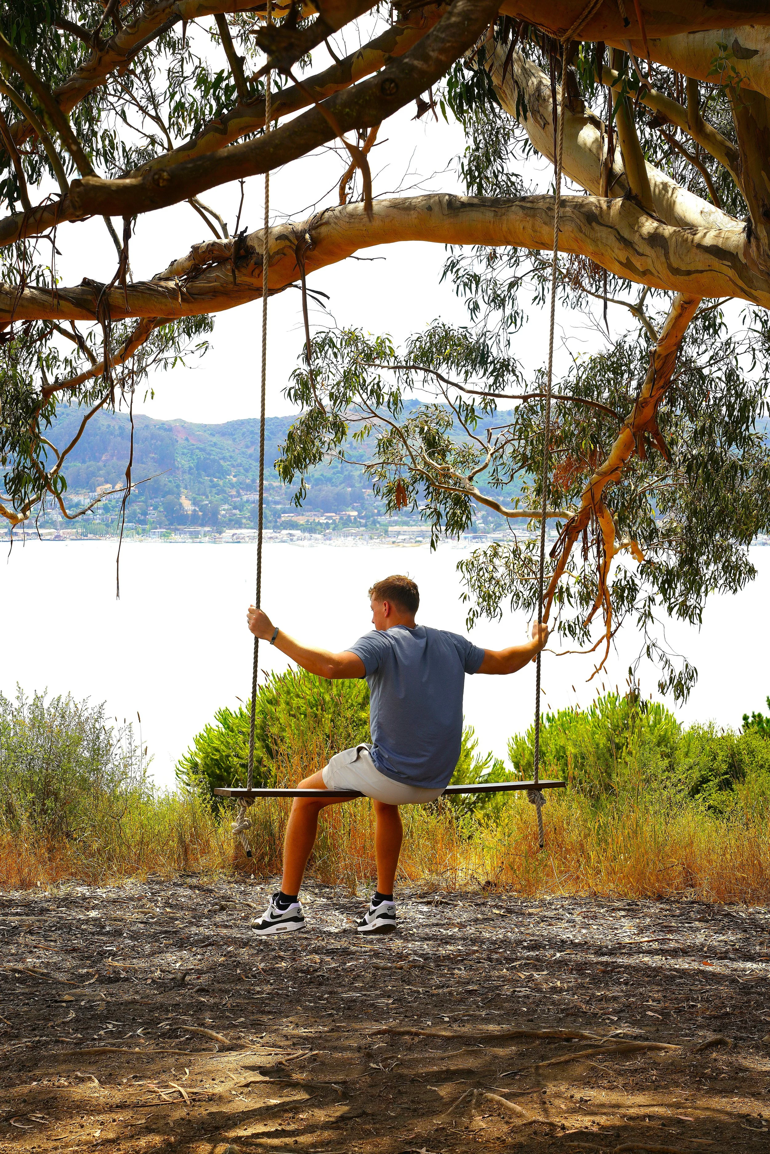 DSC03629 Boy on Swing a.JPG