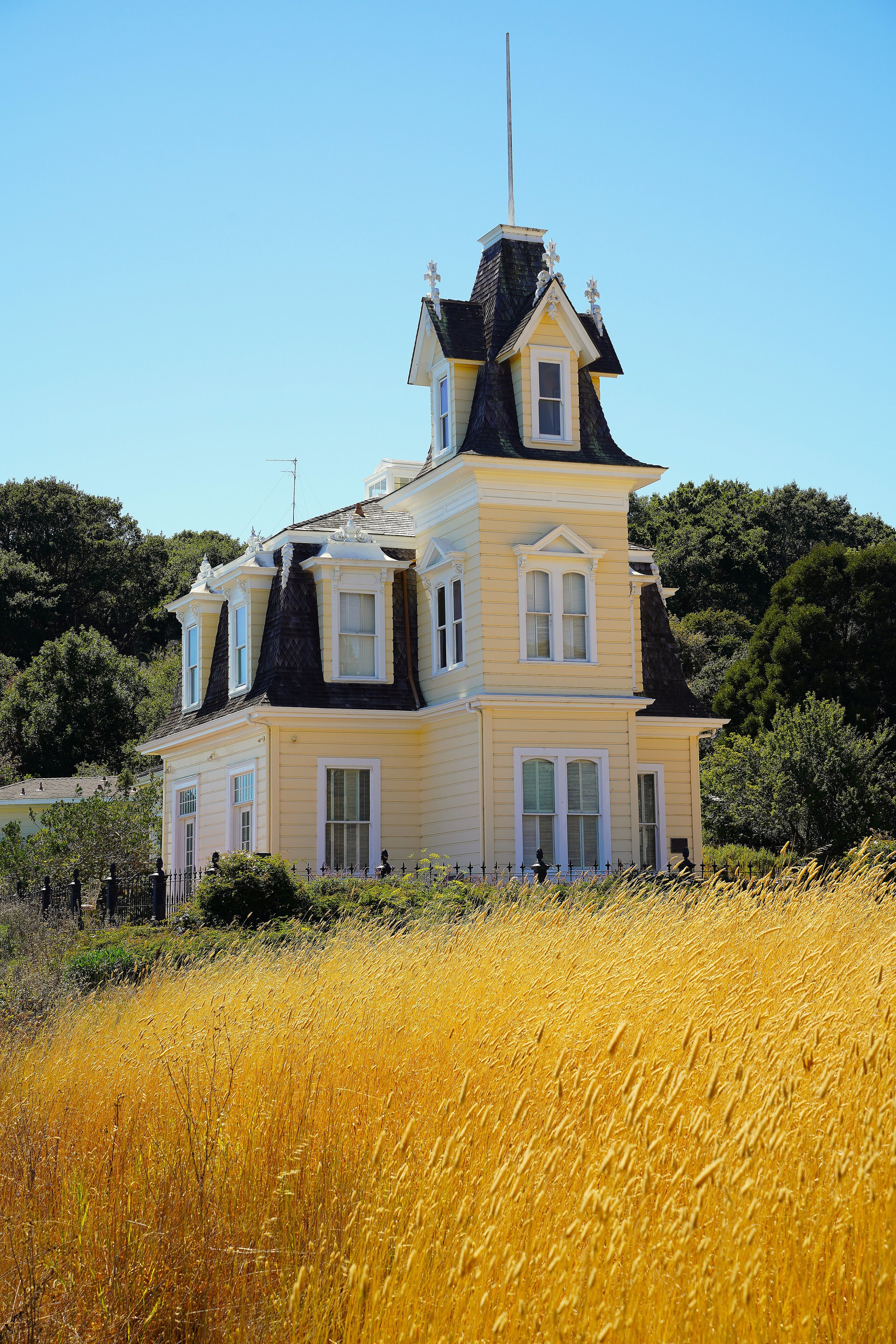 Photographs in a variety of Sizes