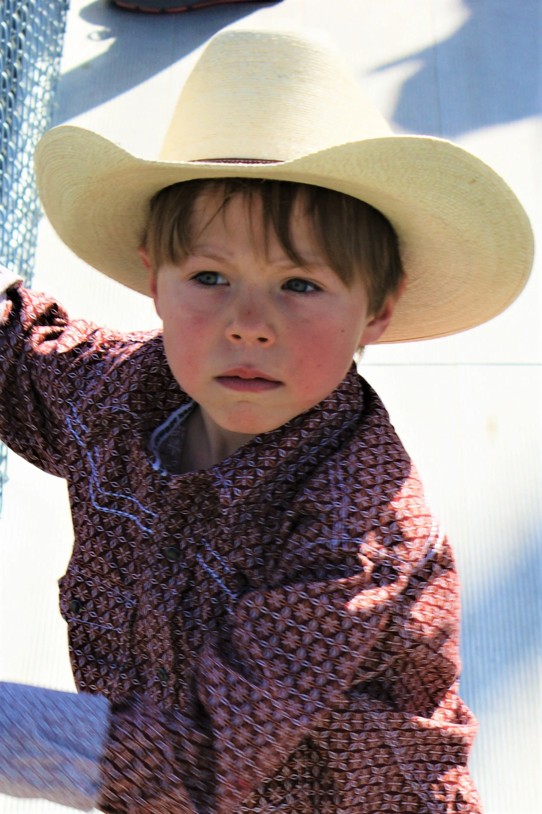 Family Outing to Stables
Photography for Family Album
2017, Little Man