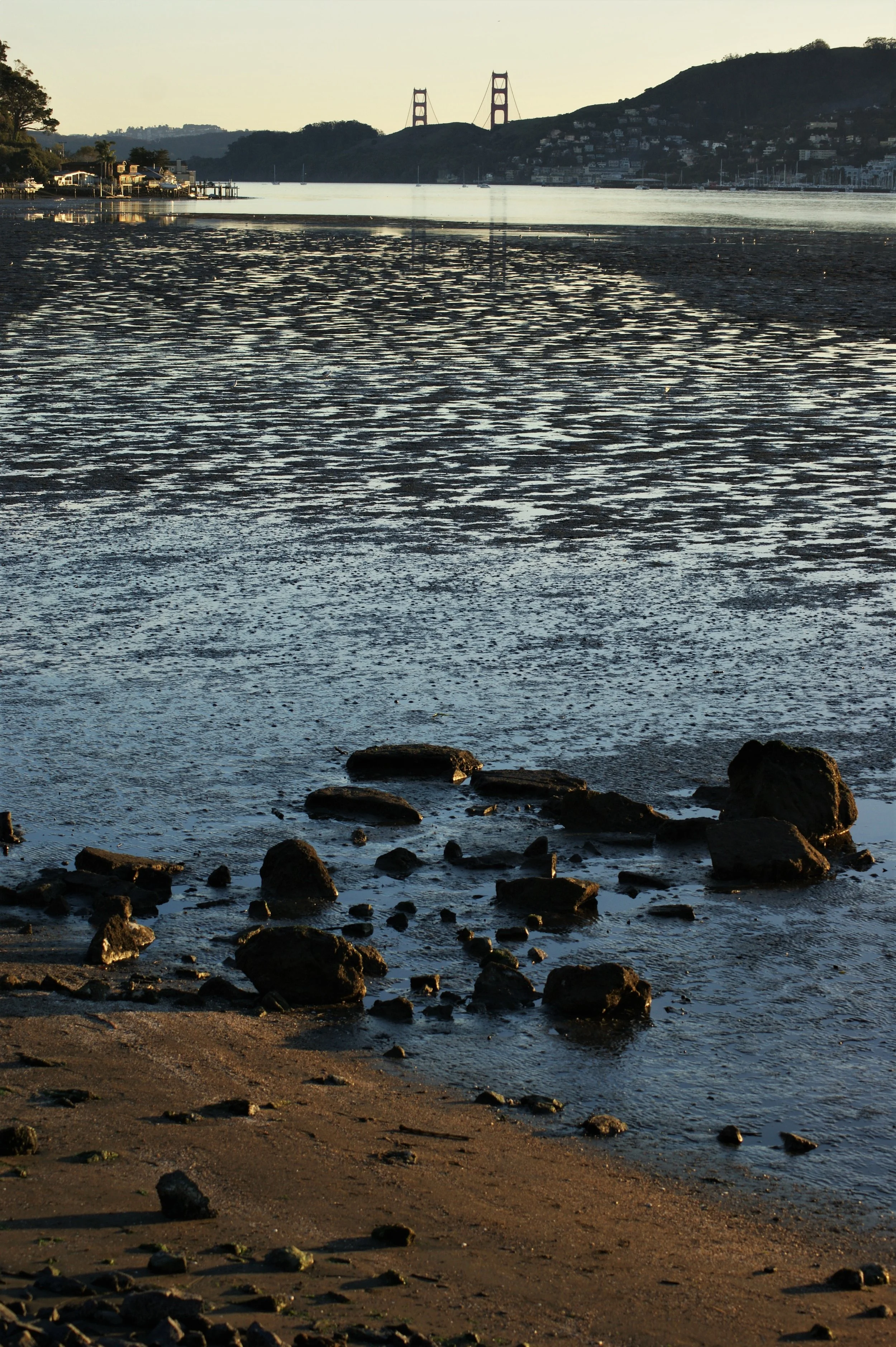 DSC01587 (2).JPG