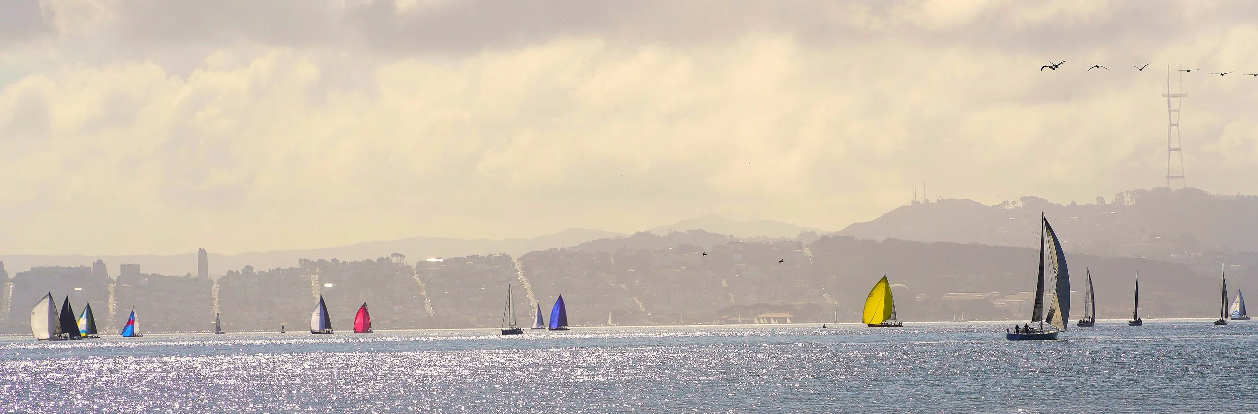 Sailing on the Bay
