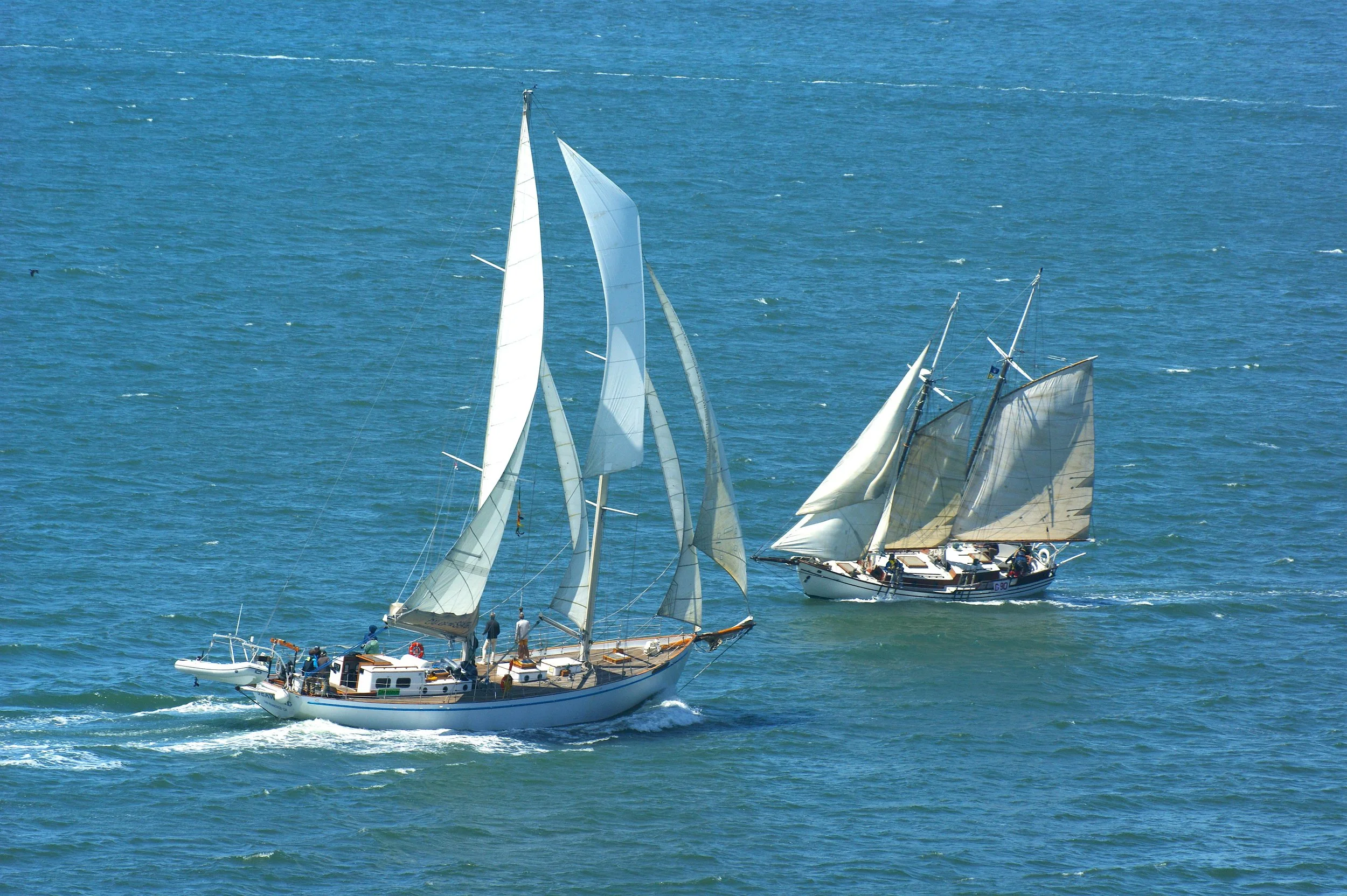 DSC08015.JPG