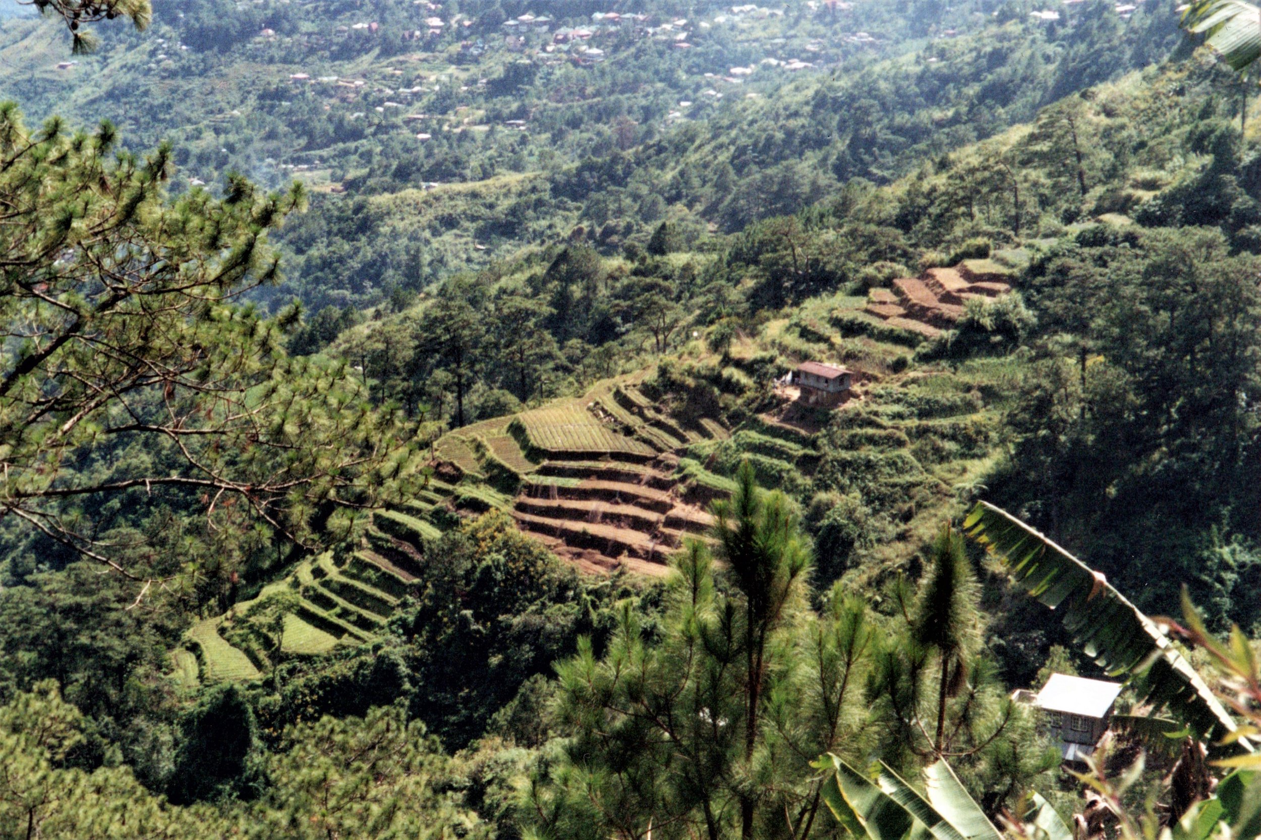 Philippines Rice Terraces - 1997