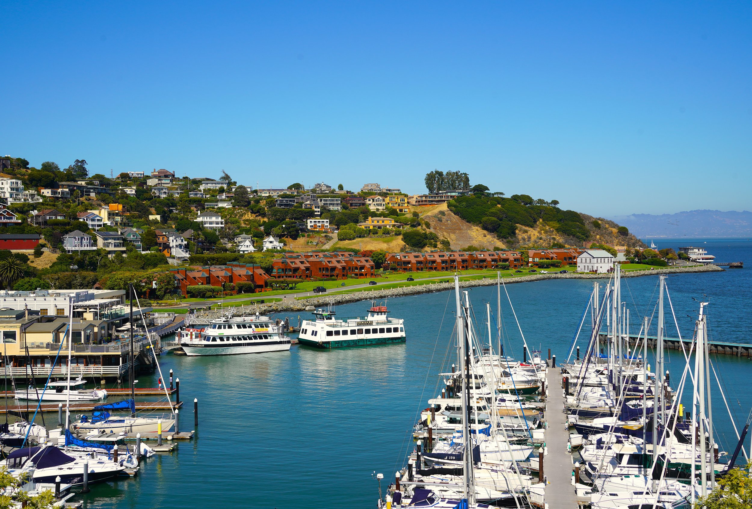 DSC03820 The Tiburon Shoreline .JPG