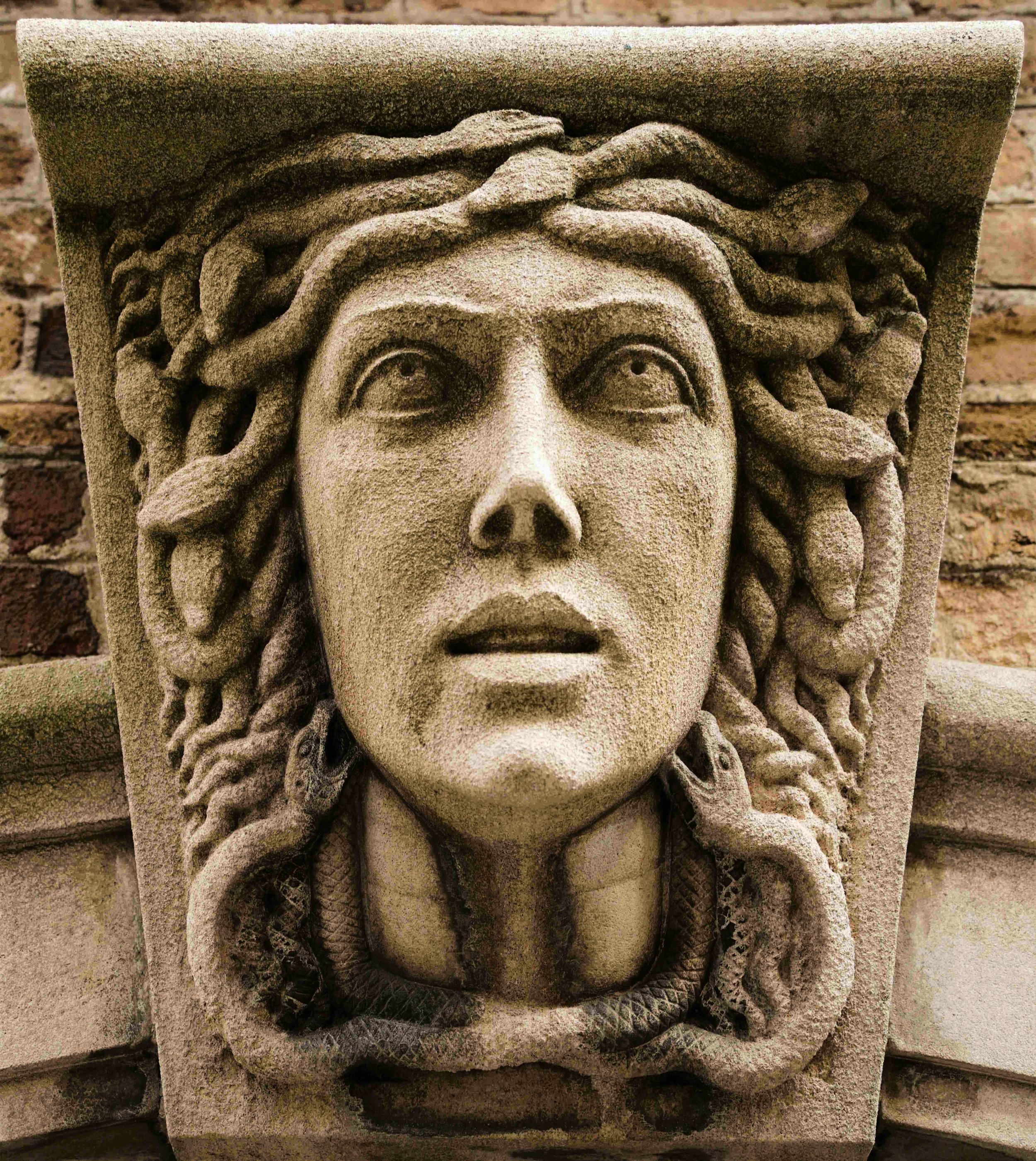 DSC00234 My Medusa.jpg