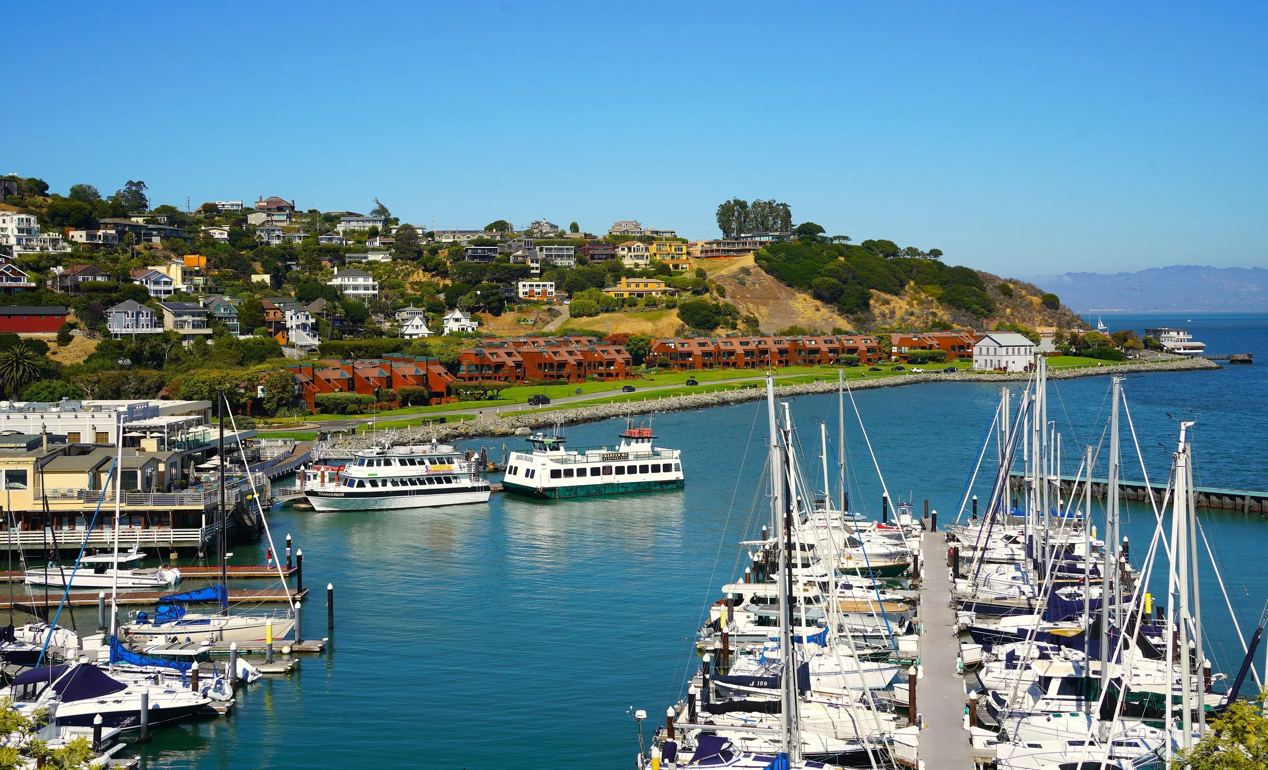 DSC03820 The Tiburon Shoreline .JPG
