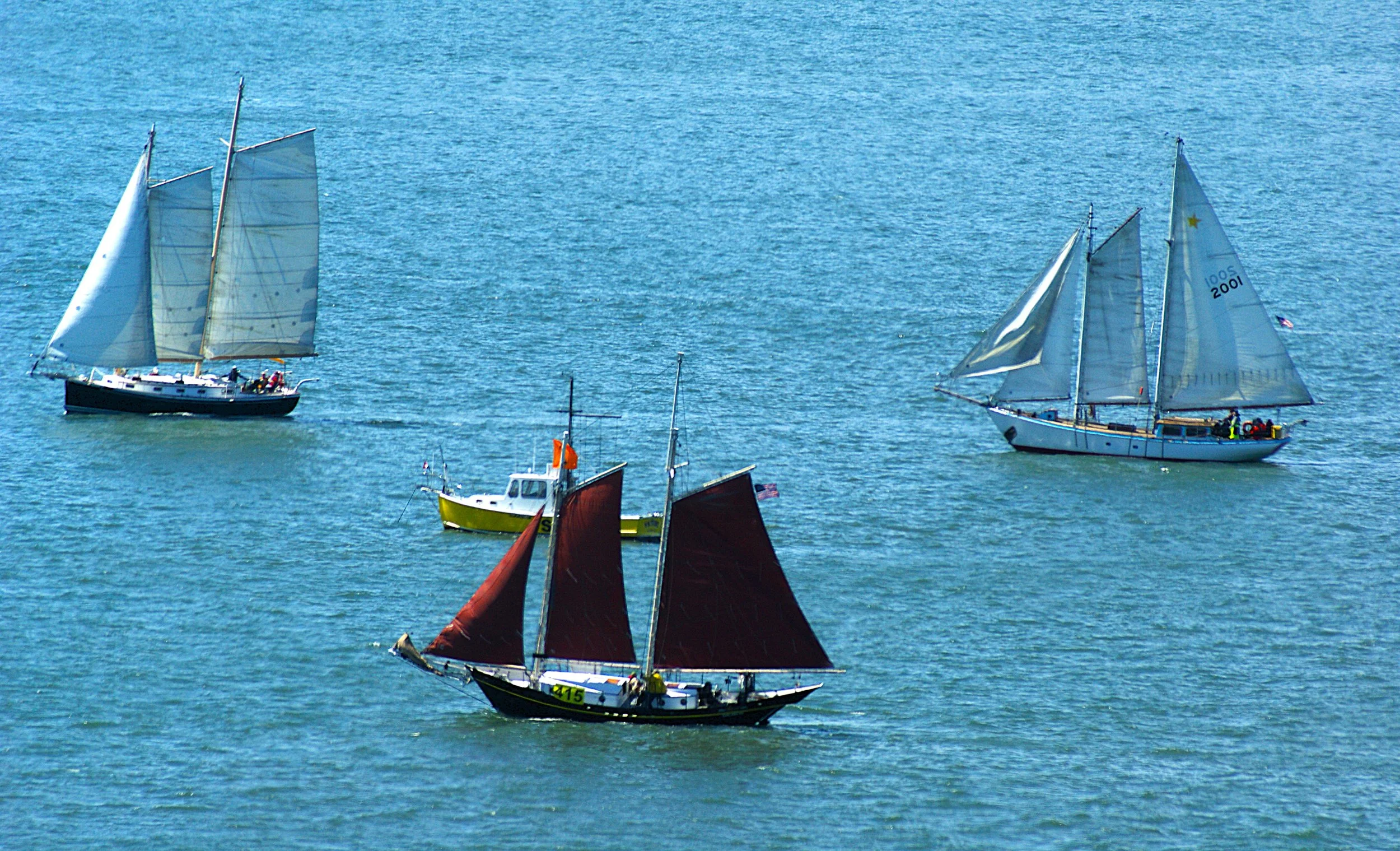 DSC081~3.JPG