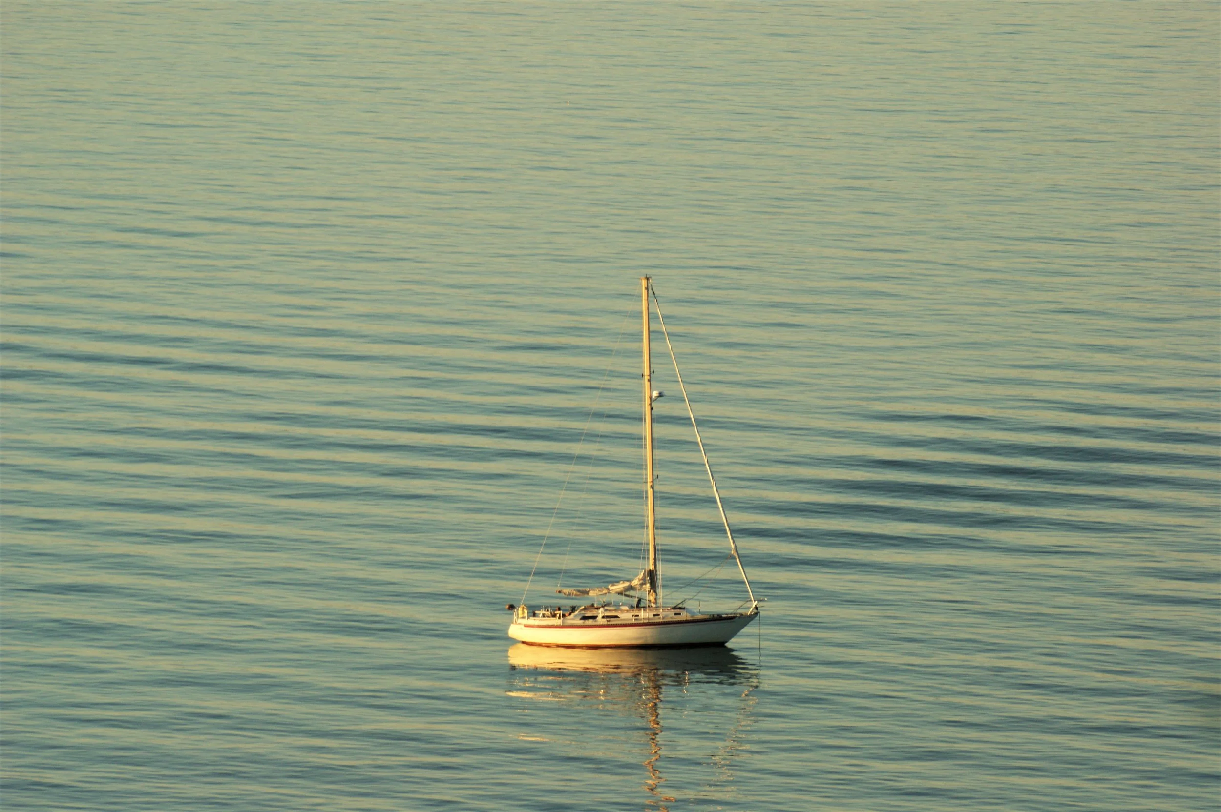 Selective Photograph for Sale