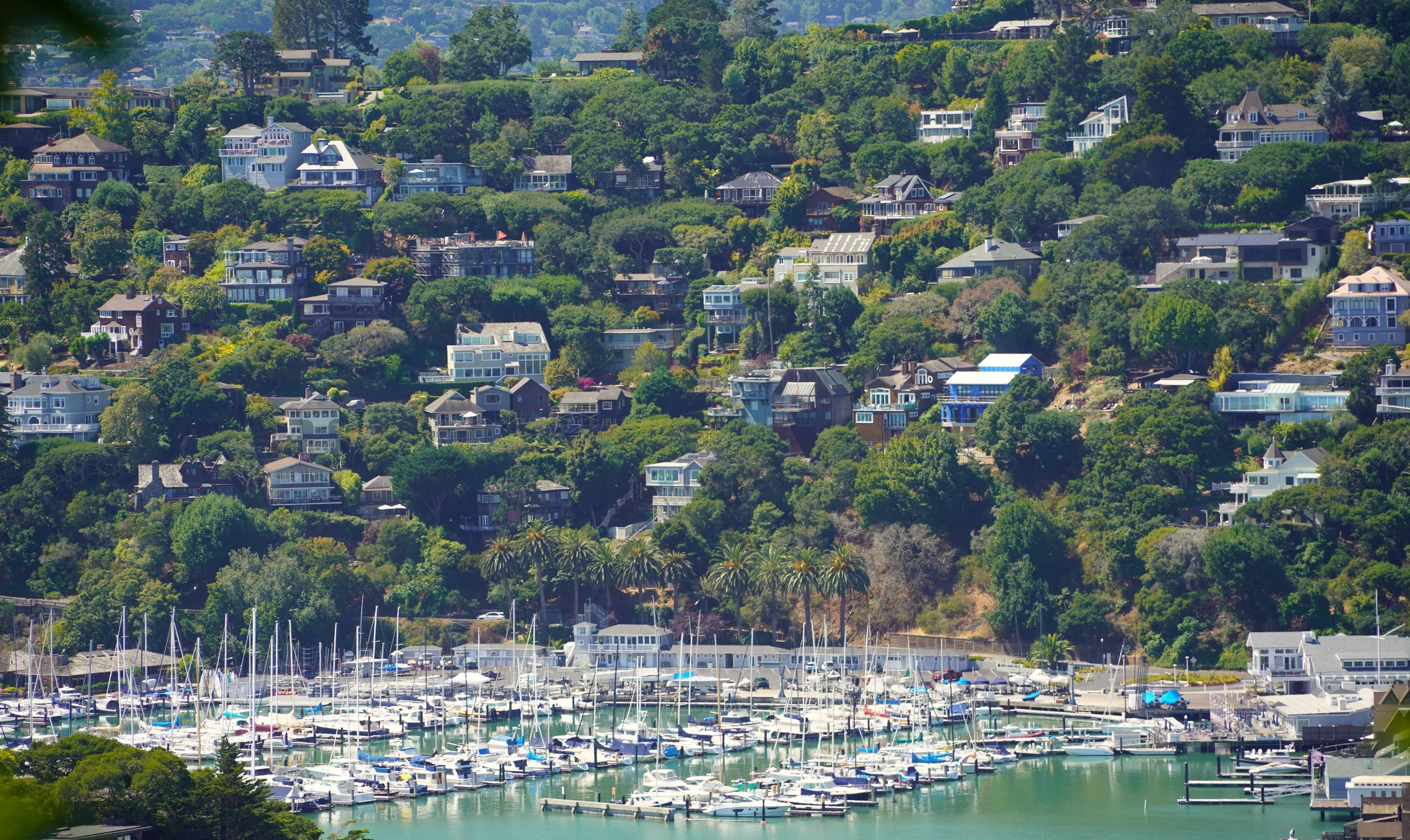 DSC04451 SFYacht Club long view.JPG
