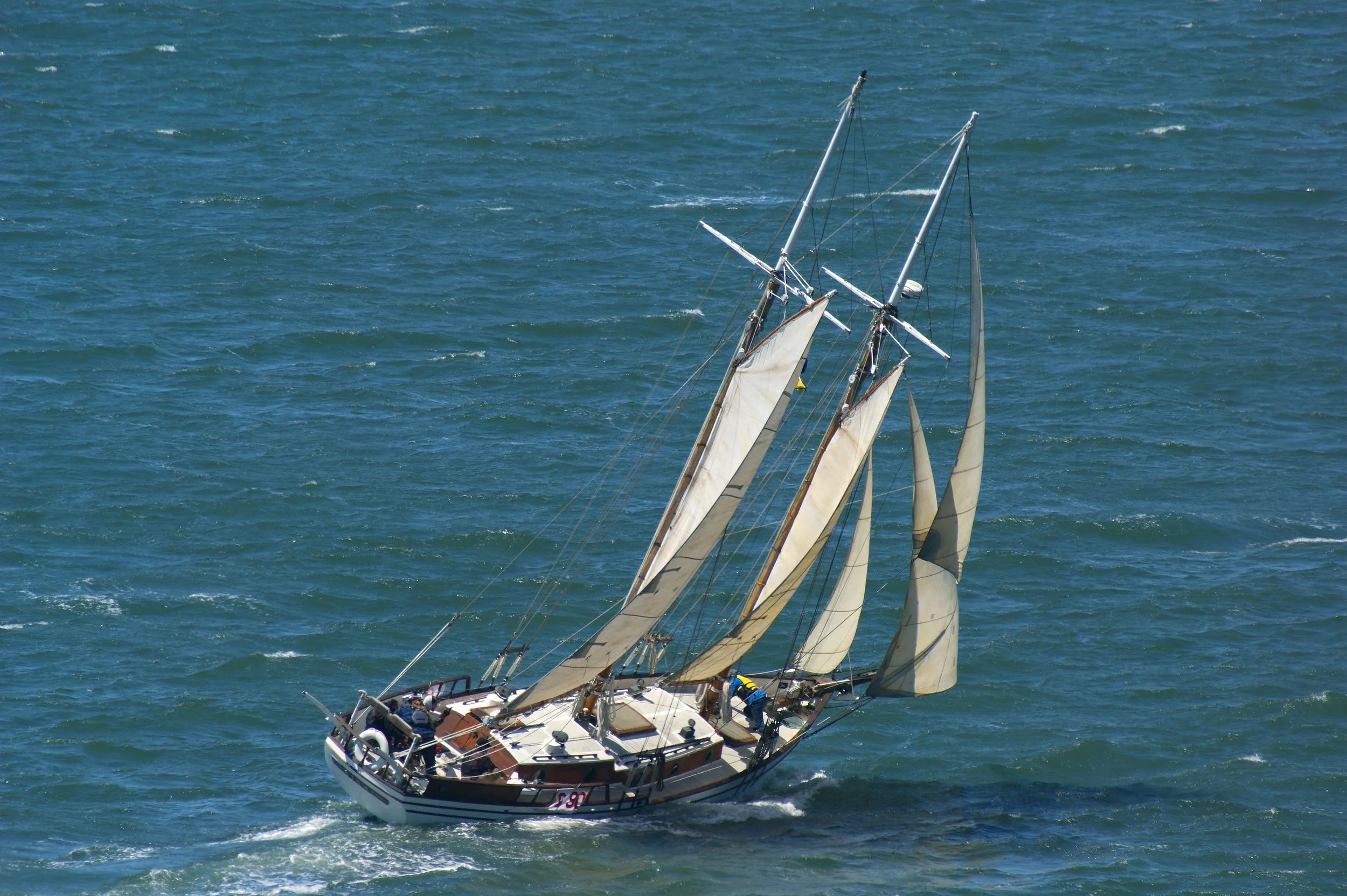DSC07985 Regatta.JPG