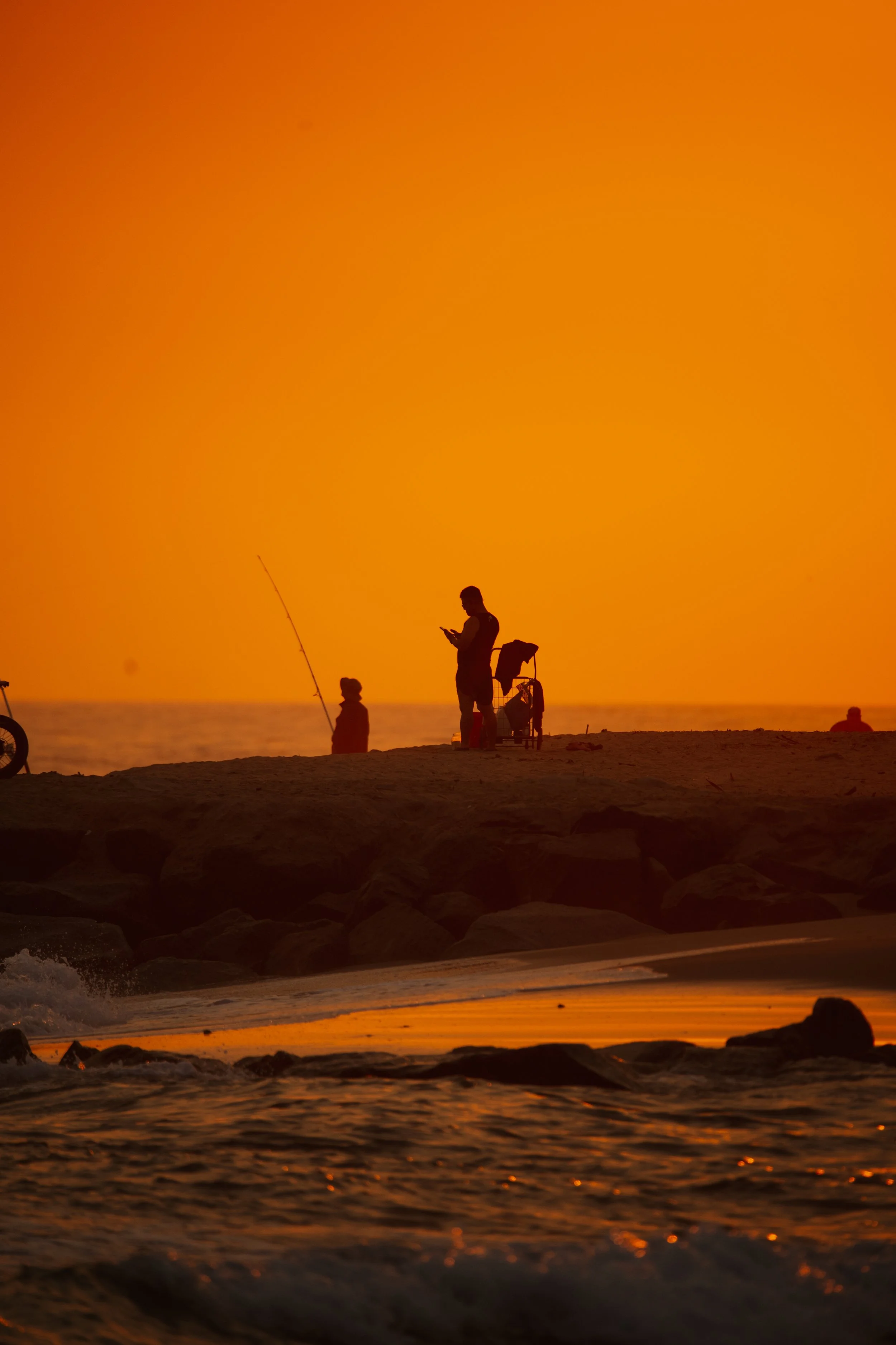 FX9A9418-2.jpg
