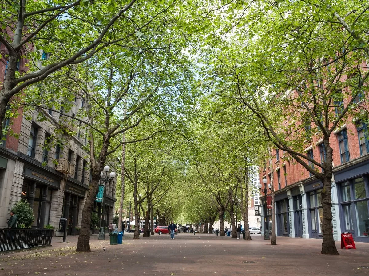 Ready for Your Closeup, Washington Film Industry?