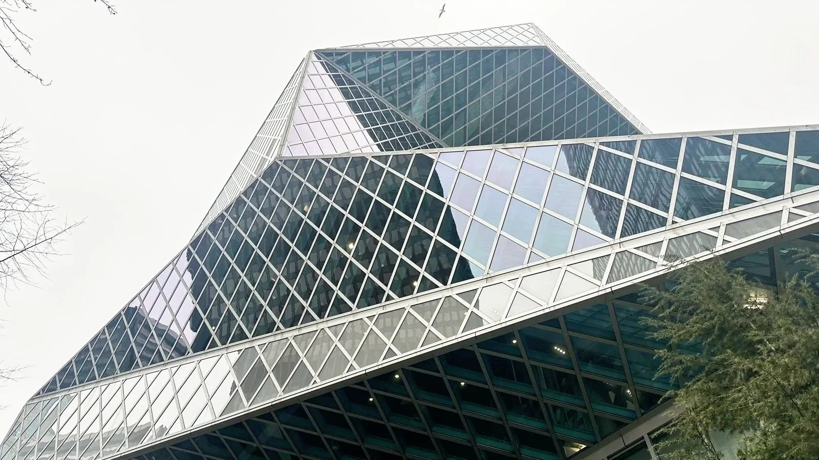 Take This Poetry Starter Pack to Your Library