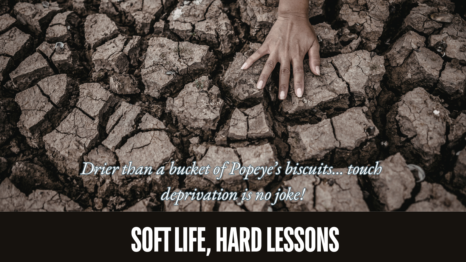 Soft Life, Hard Lessons: No More Dry Biscuits