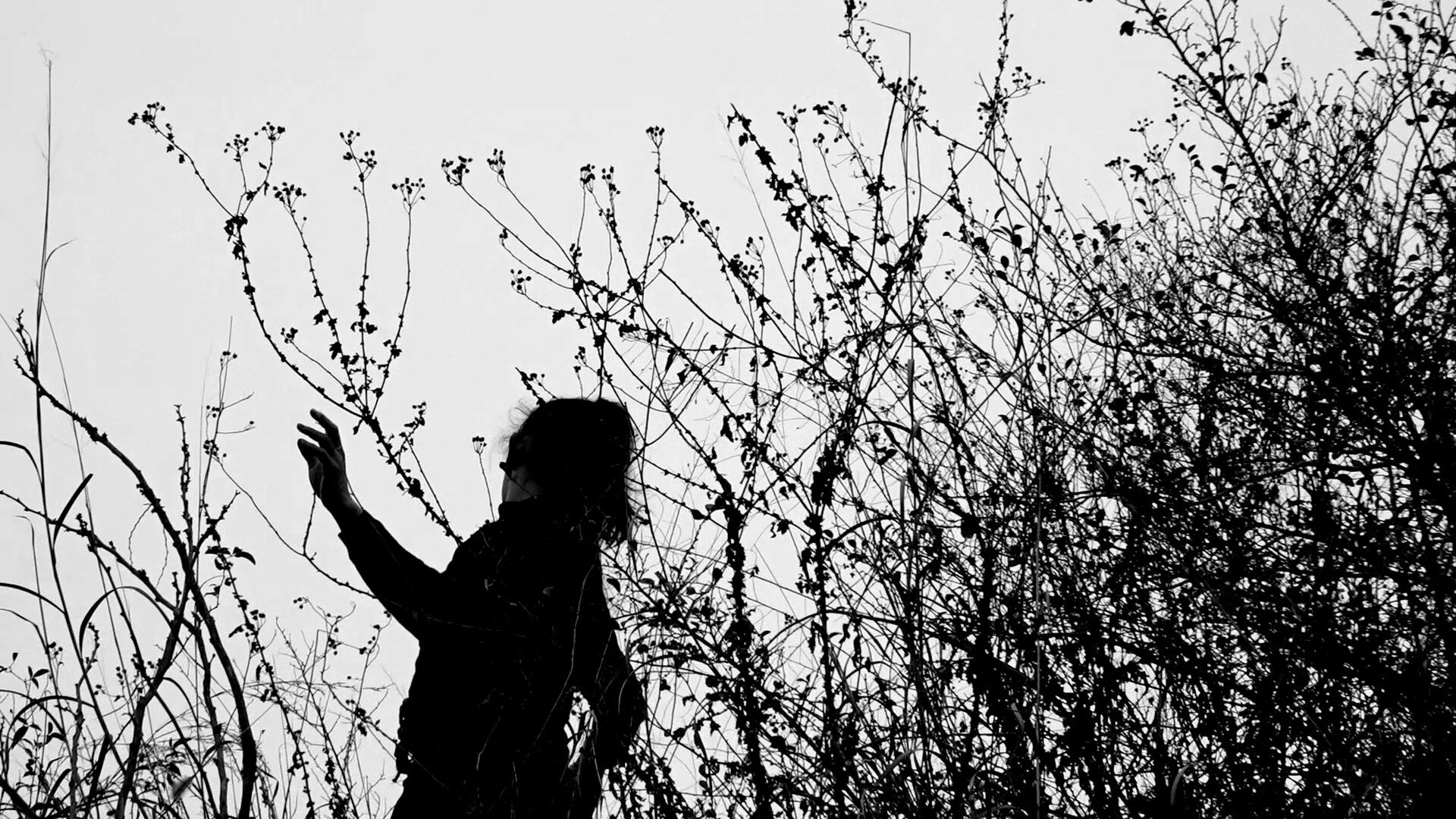 Cadence Video Poetry Fest Inspires Interdependence with Blended Media