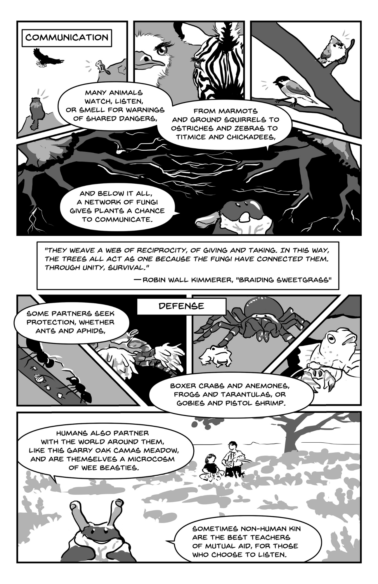 page 2 of Kel's "Mutualism" comic