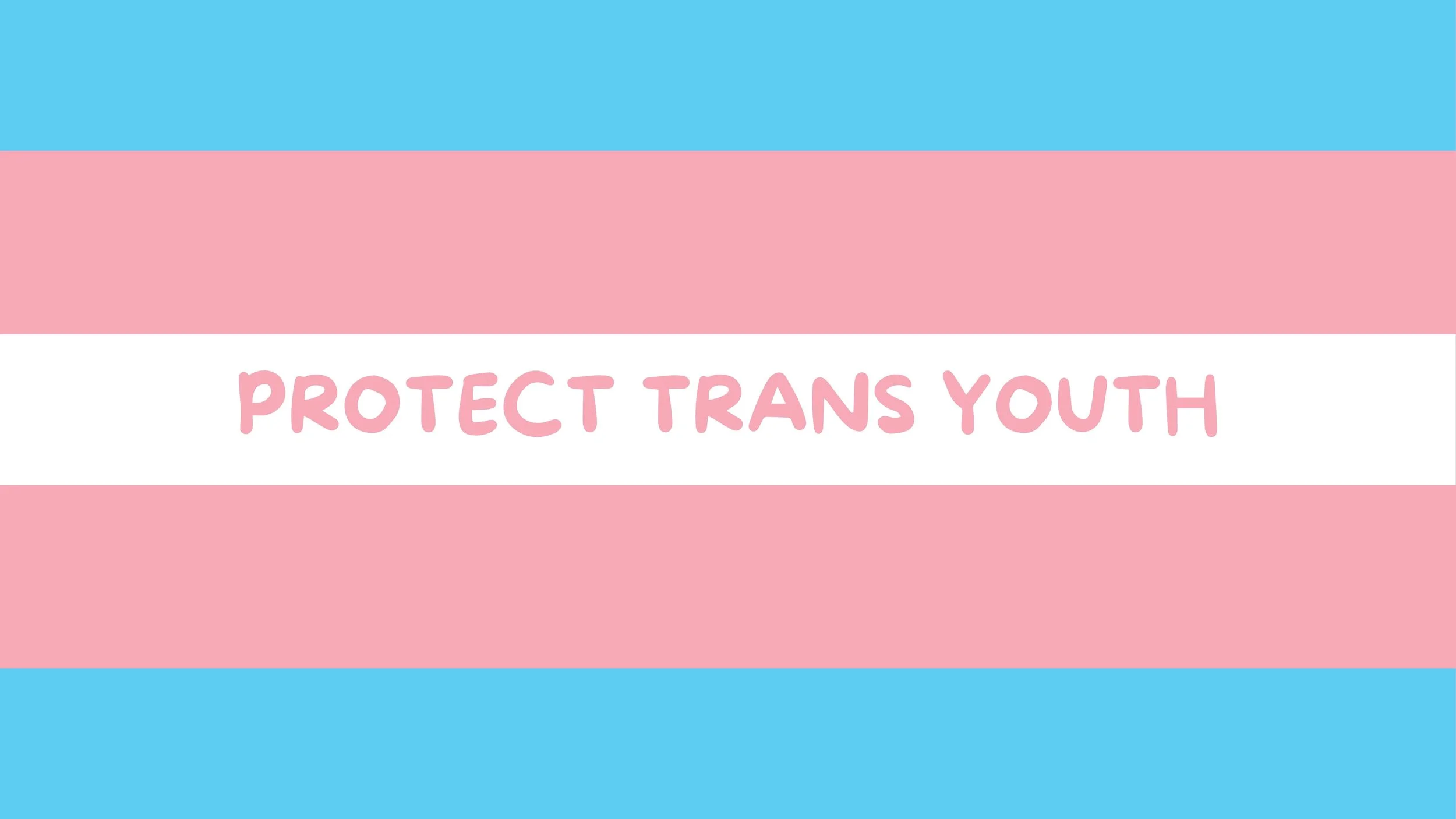 Trans flag with pink words on the white stripe "Protect Trans Youth"