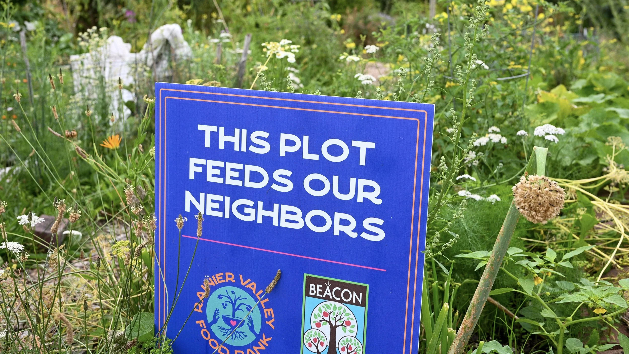 Beacon Food Forest Calls for Aid to Remain a Vital Community Resource