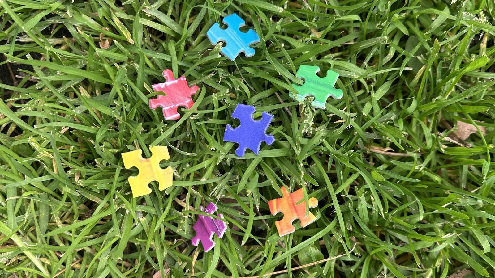 puzzle pieces strewn across grass, a closeup of grass blades and small pieces in different colors