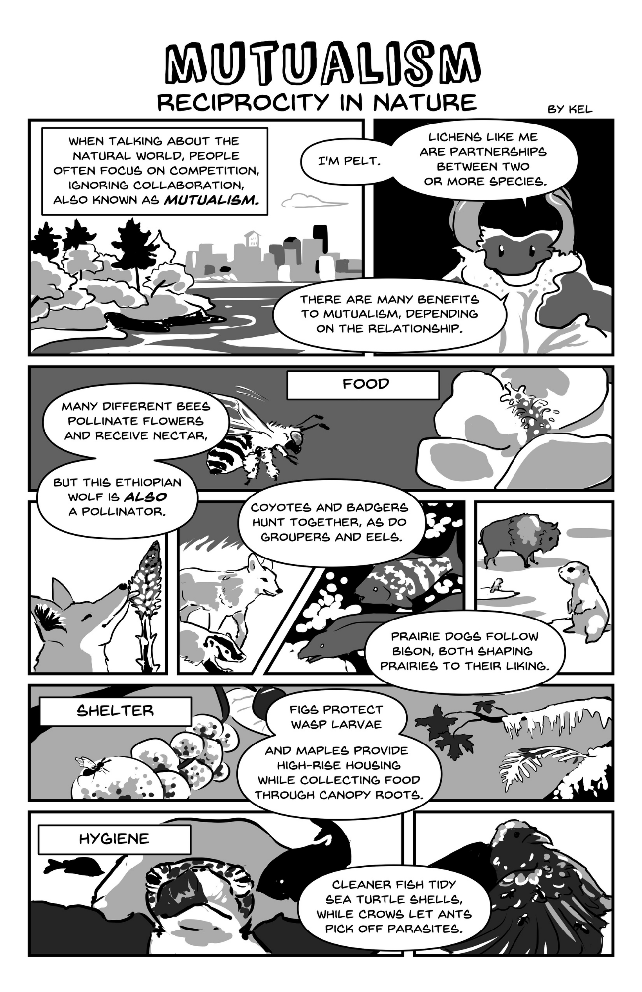page 1 of "Mutualism" comic by Kel