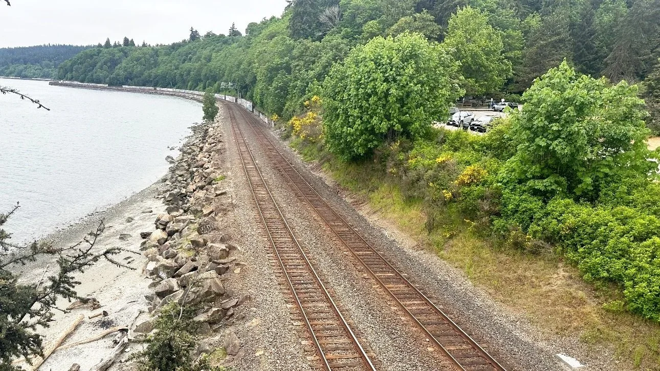north-south train tracks separate the rocky shoreline from the tree-lined park