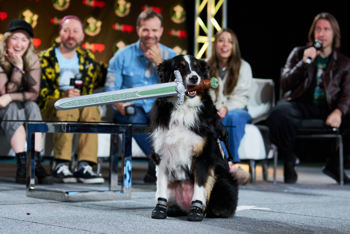 service dog (border collie mix) with black booties and holding a prop sword in their mouth, on stage in front of a panel of seated human guests