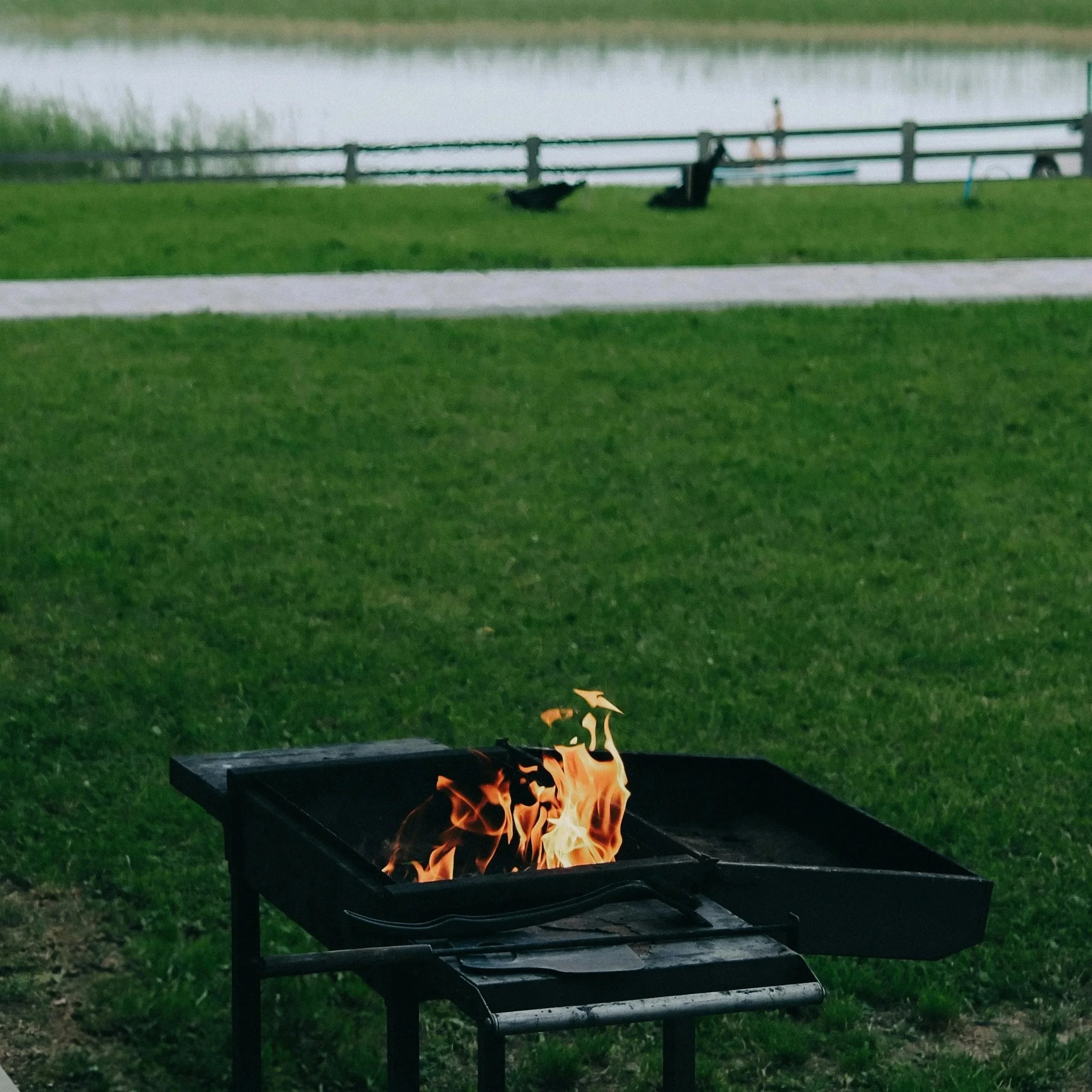 picnic grill