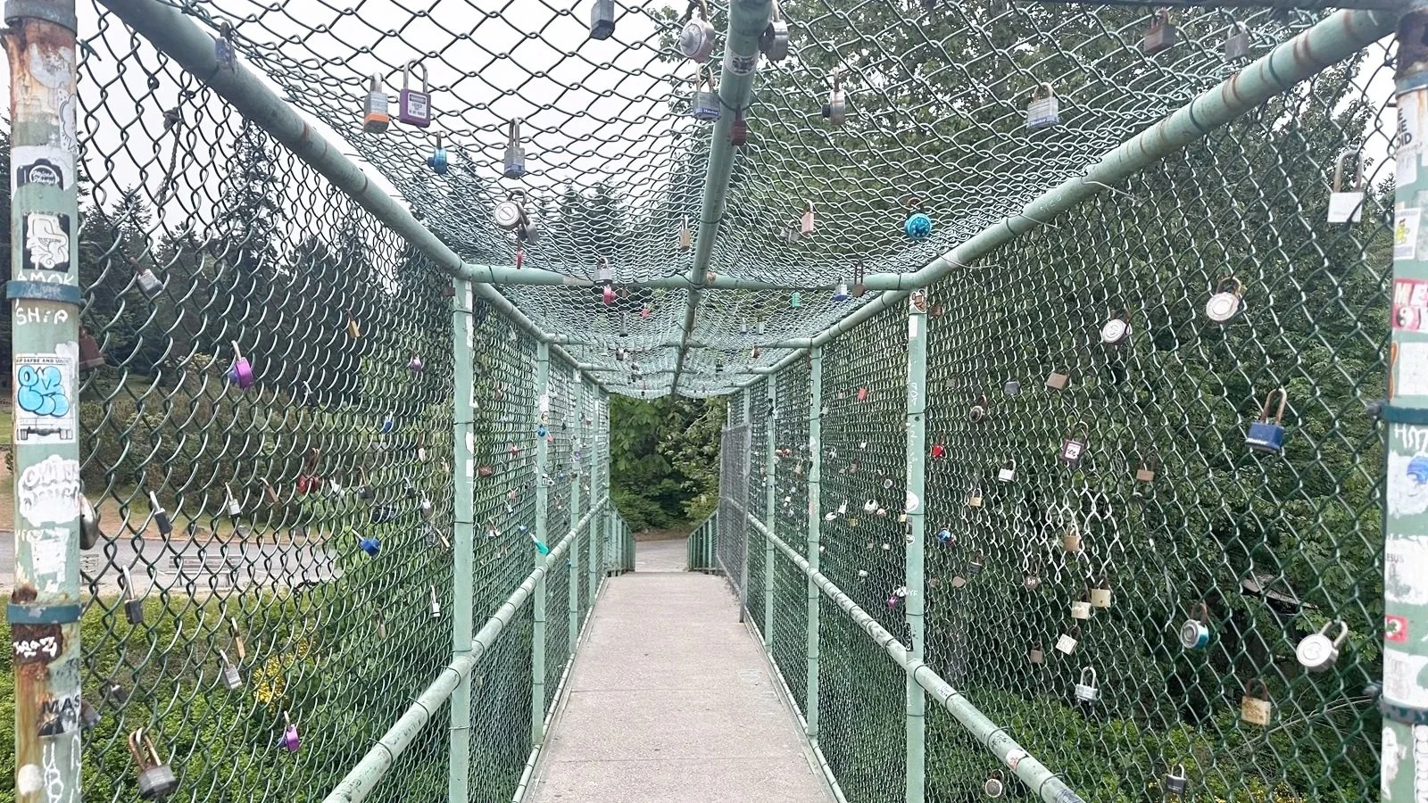 Carkeek Park: The Psychic