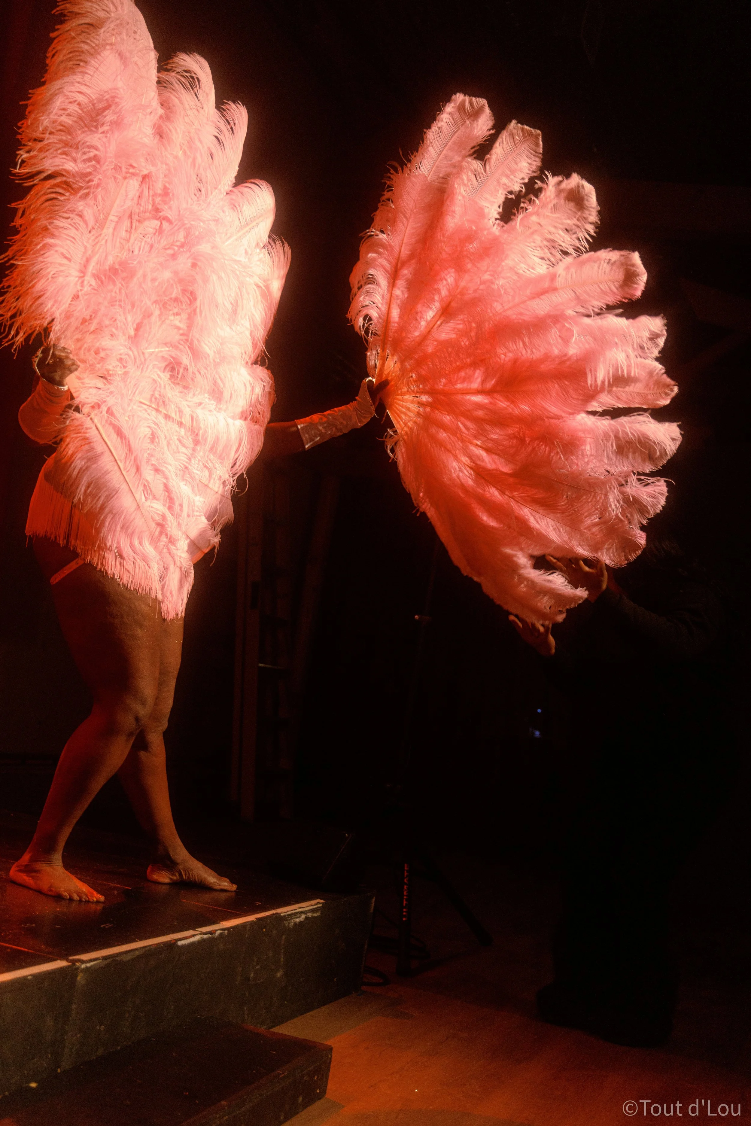 Ava D'Jor performing with feather fans on stage, barefoot and wearing pink