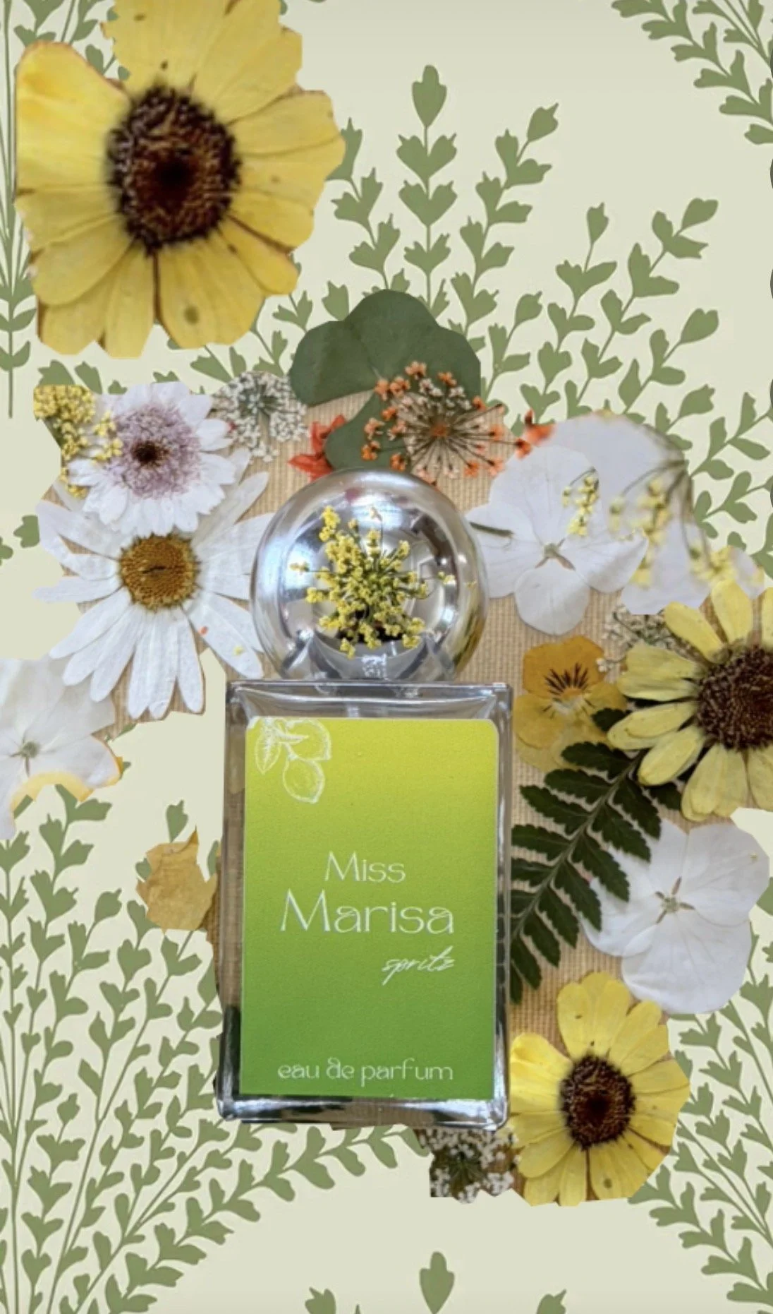 Miss Marisa Spritz Collection