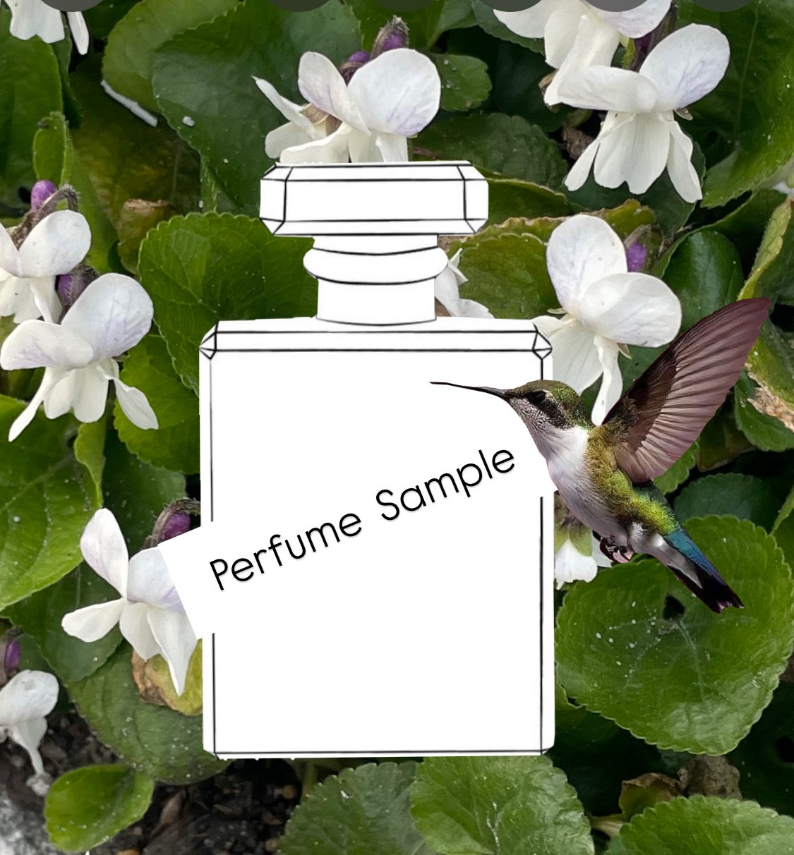 Perfume Samples