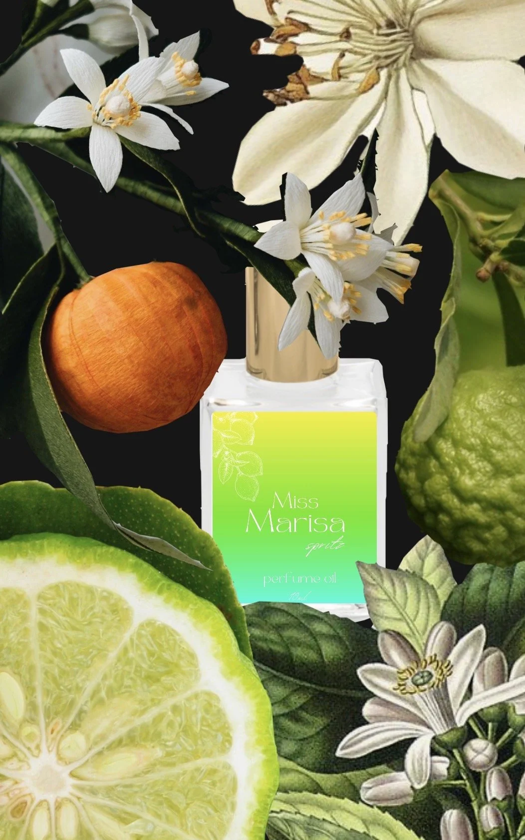 IMG_6449.jpeg (Copy)