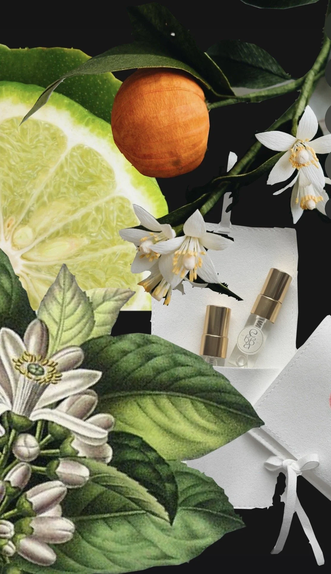 IMG_6260.jpeg (Copy)