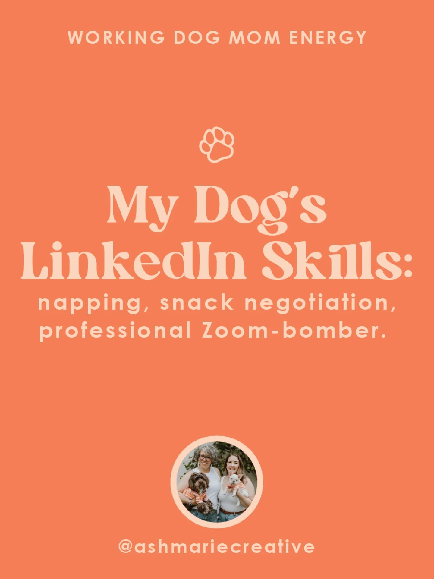 If Pearl + Nash had LinkedIn profiles:

🐾 Pearl &ndash; Professional Fetcher, Snack Negotiator, Chaos Creator.

🐾 Nash &ndash; Senior Nap Specialist, Barking Analyst, Cuddle Consultant.

👉 What would YOUR dog&rsquo;s LinkedIn say?