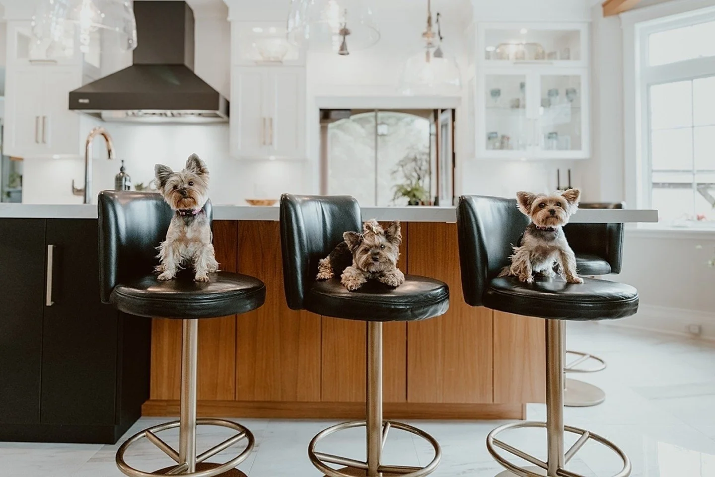 Avondale Kitchens &ndash; High-End Modern Kitchen

The problem:
Luxury kitchen photography can sometimes feel cold.

The solution:
Architectural precision&hellip; with a touch of real life (yes, the dogs stayed).

The result:
A space that feels aspir