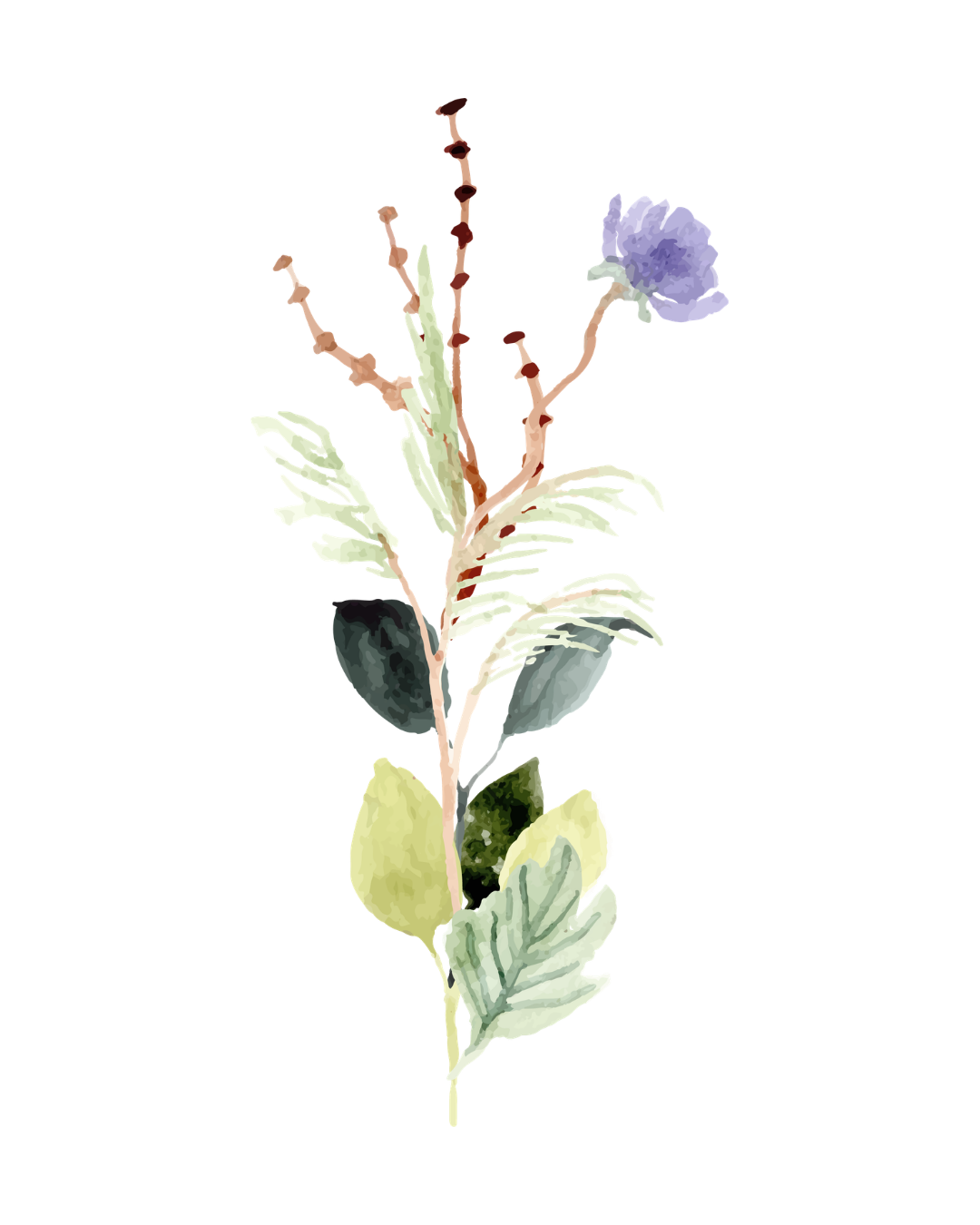 Delicate watercolor illustration of a single floral arrangement with a lavender flower, slender pink branches, and soft green leaves.