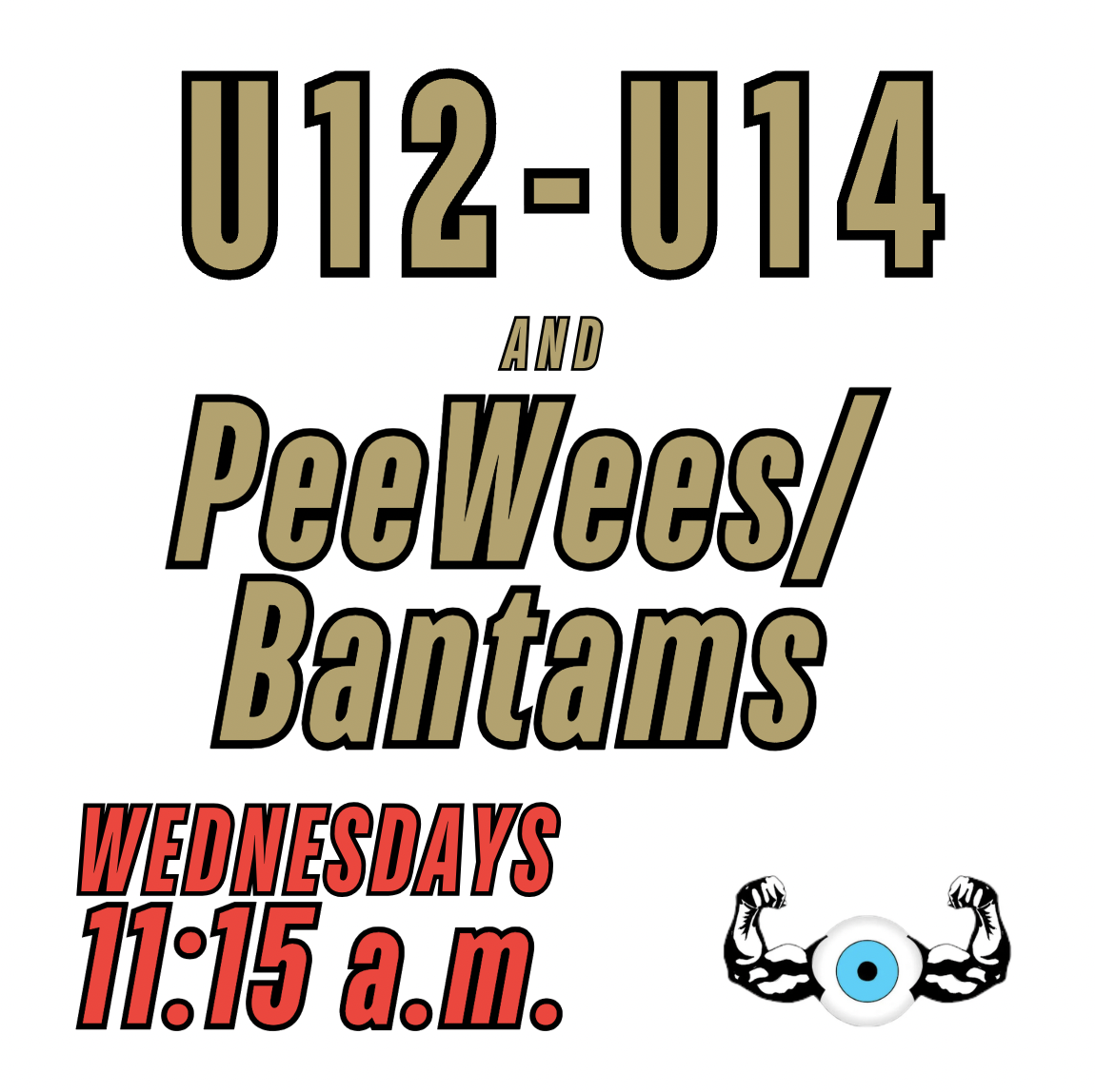 PeeWee  & Bantam U-12 to U-15 - Summer Goalie Hand-Eye Camp