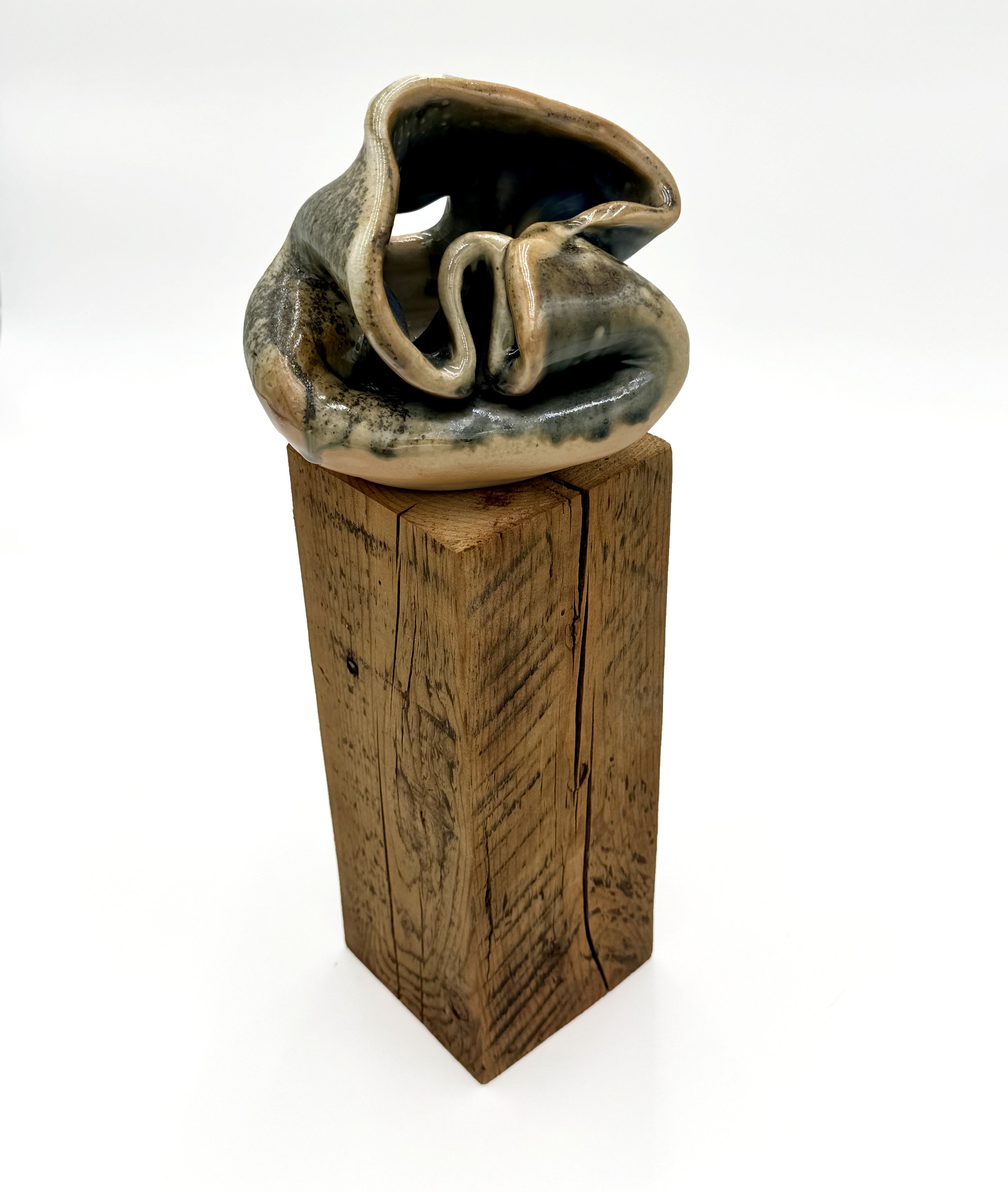 Collapsed Form (M WF), 2025. Wood-fired stoneware. 6 1/4" x 17 1/2" dia. 